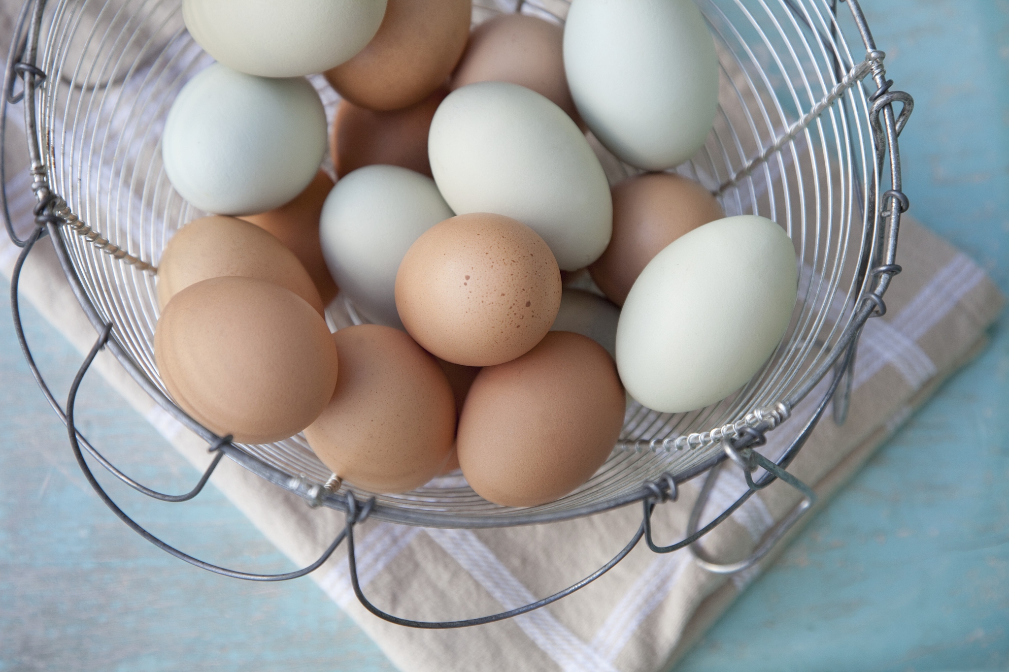 freshly collected free range eggs
