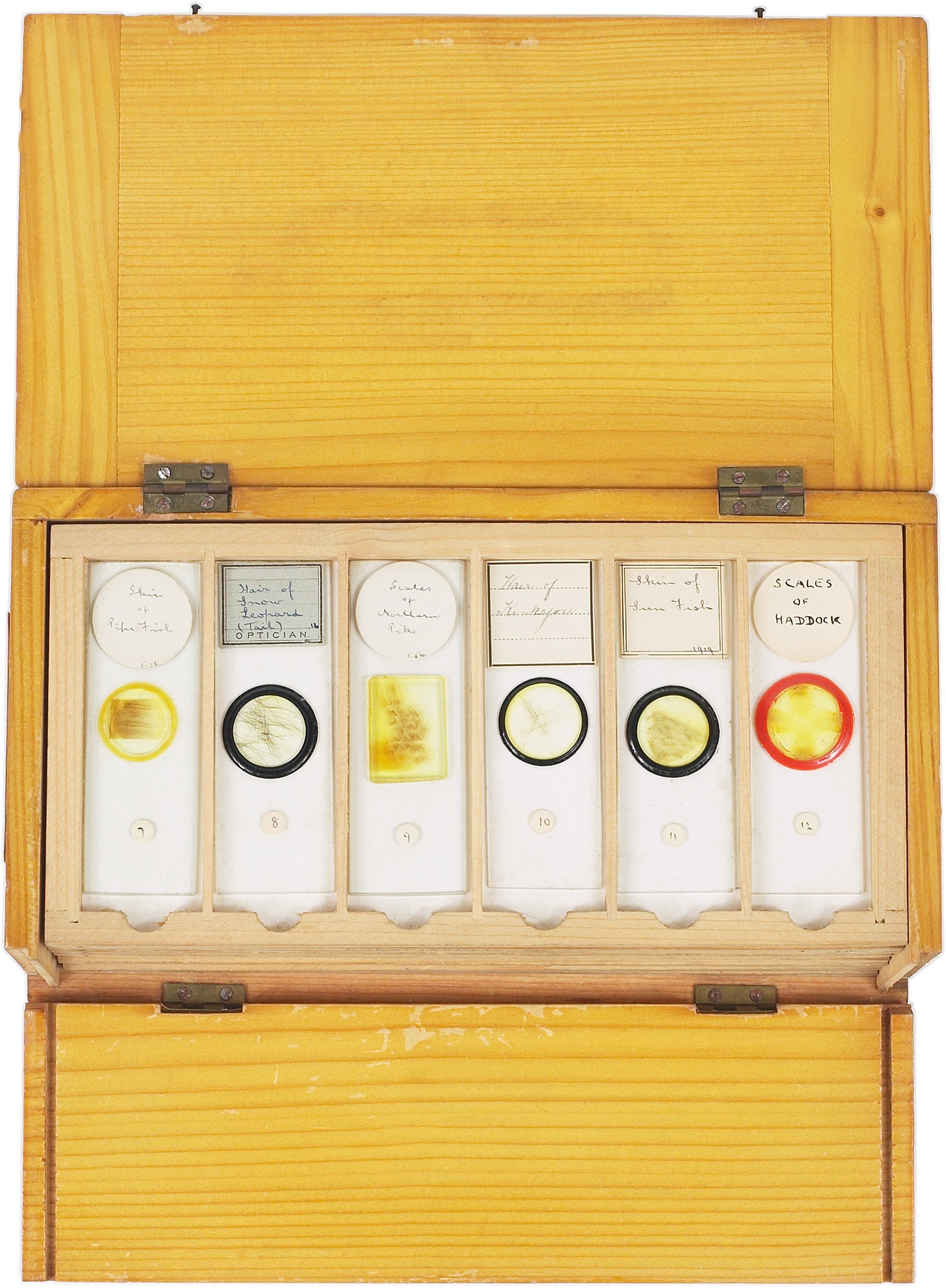 四川蒙山蒙顶甘露茶叶包装设计：自然与工艺的完美融合