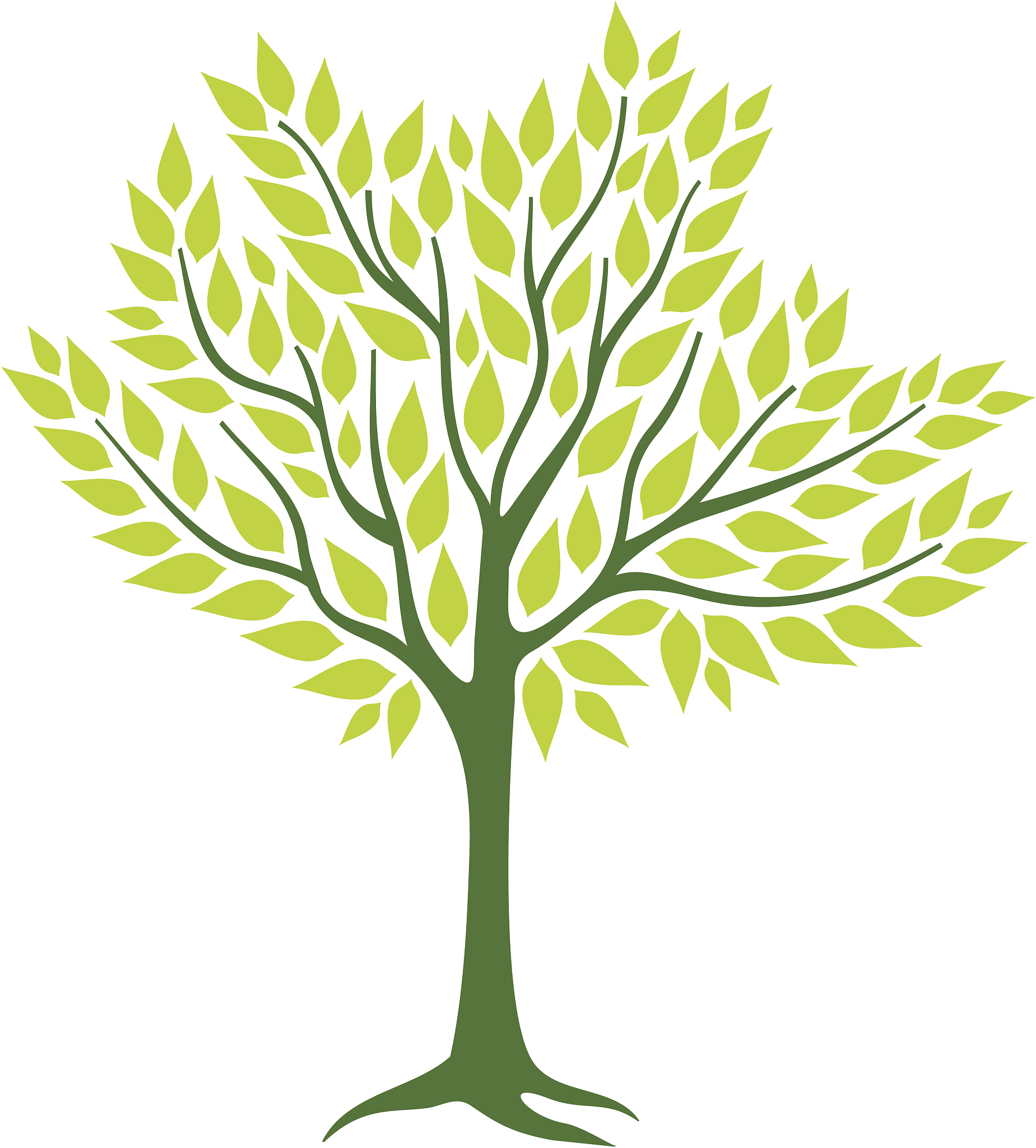 spring tree