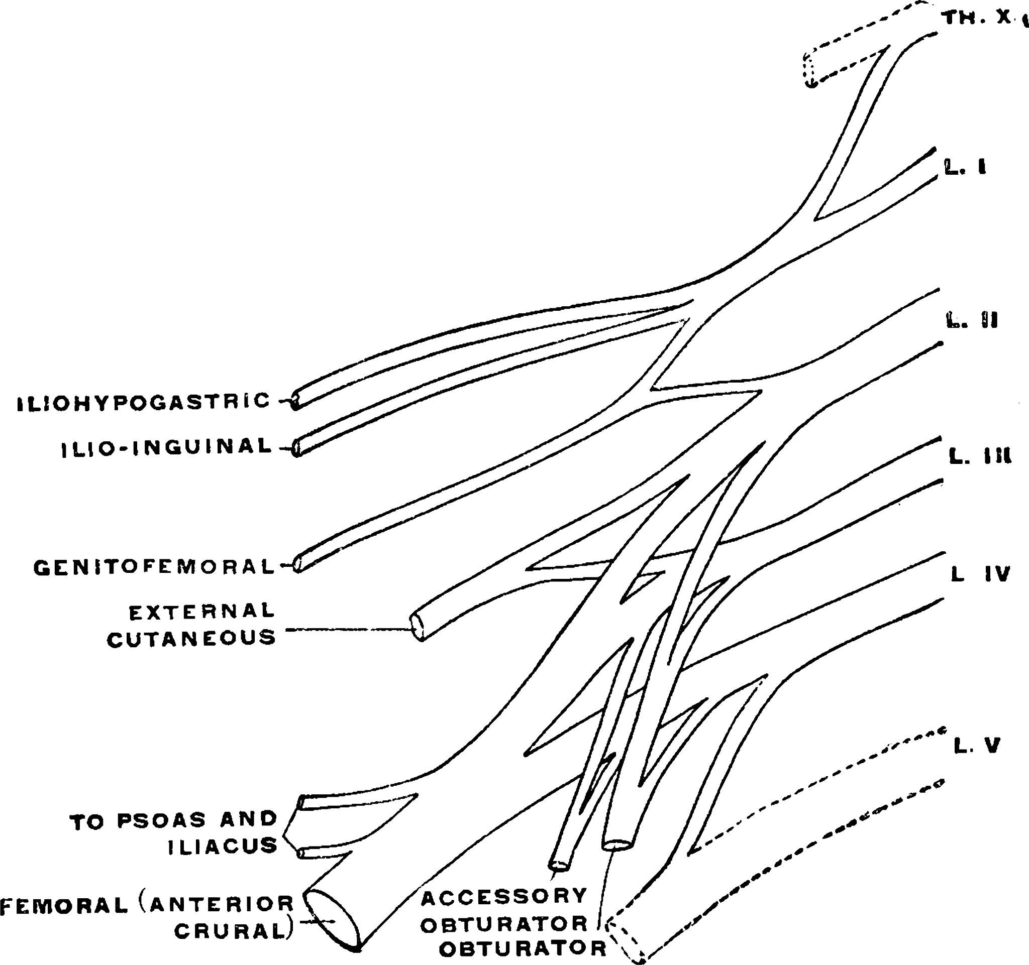 QML topLeftRadius和 bottomRightRadius需要什么版本