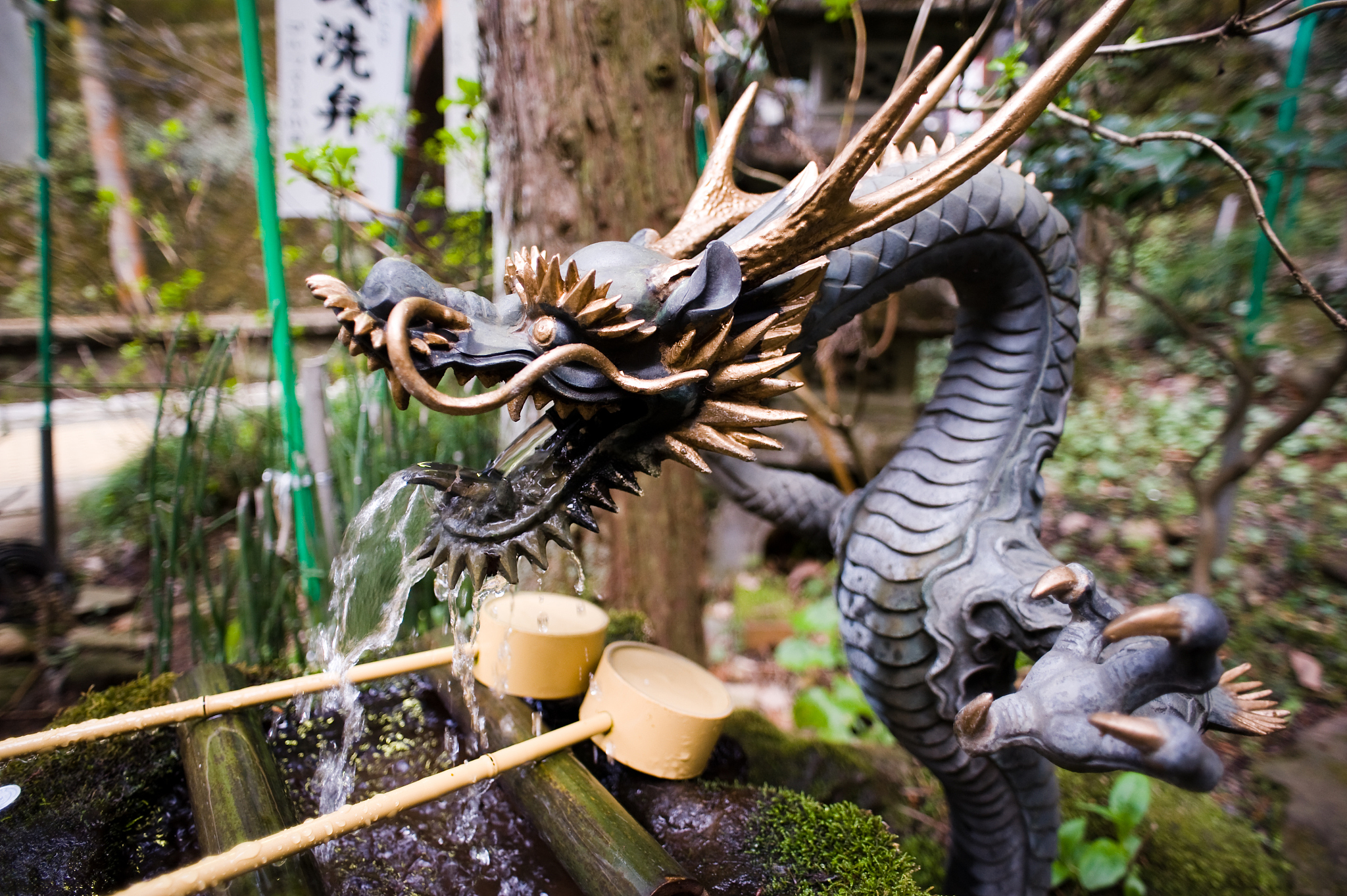 temple dragon