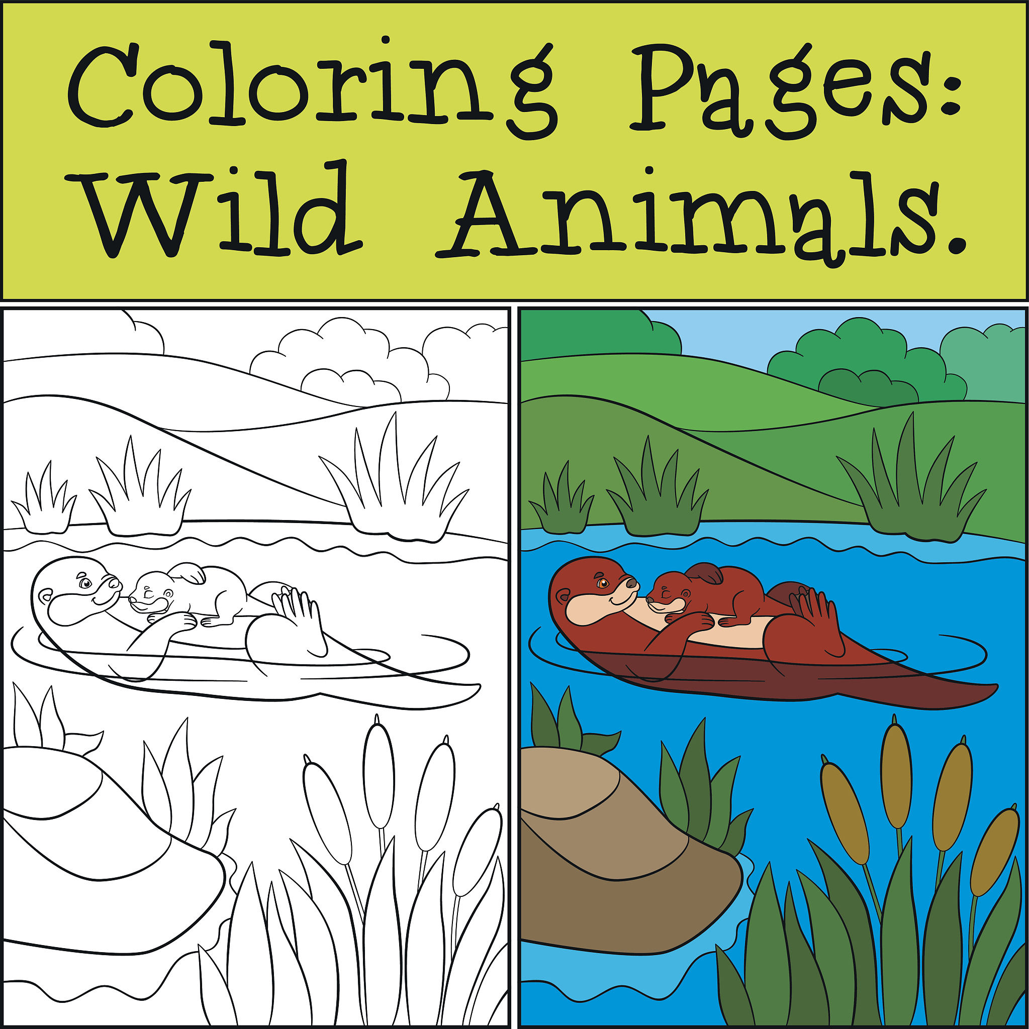 Early Morning Fishing Success! Blue Salmon Frenzy with Mick's Fishing Adventures