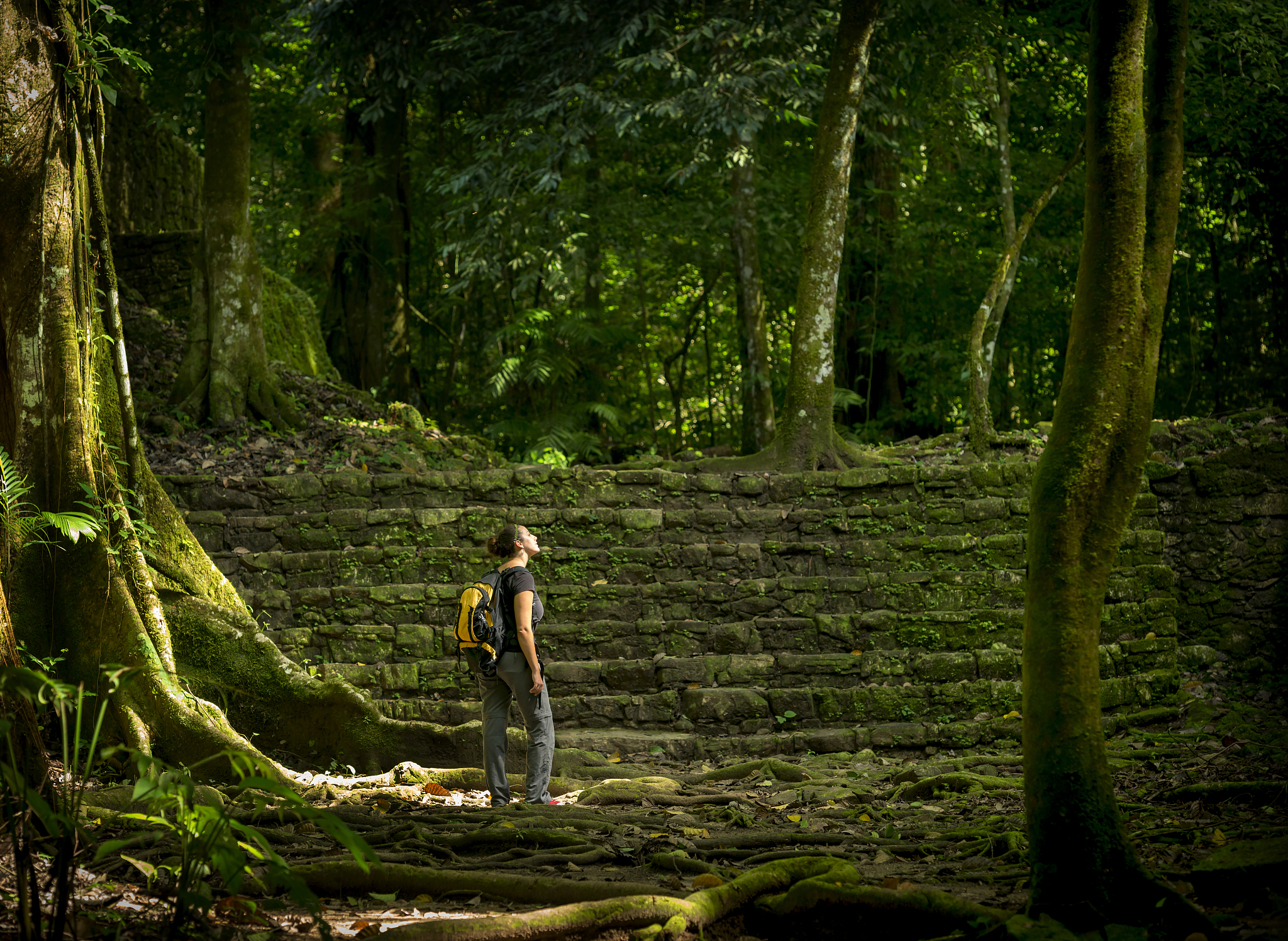 A Hunter's Love Story in the Forest