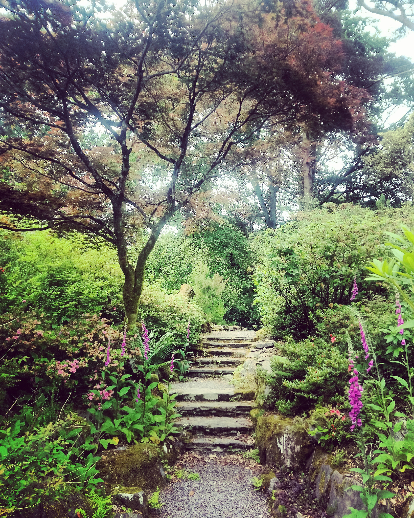 曲径通幽处，发现别样景致的诗句 - 10句优美诗词