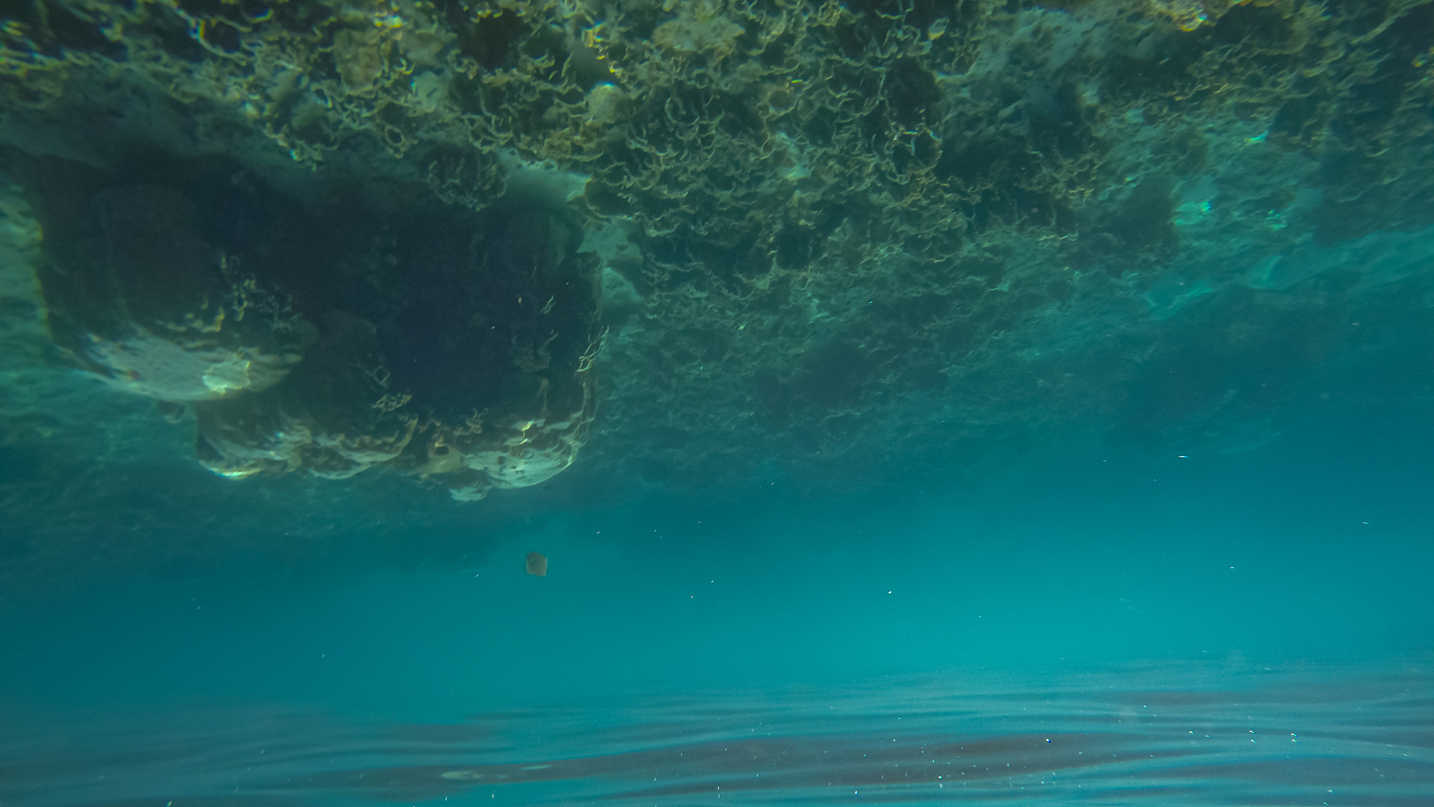 panoramic scene under water and blue background