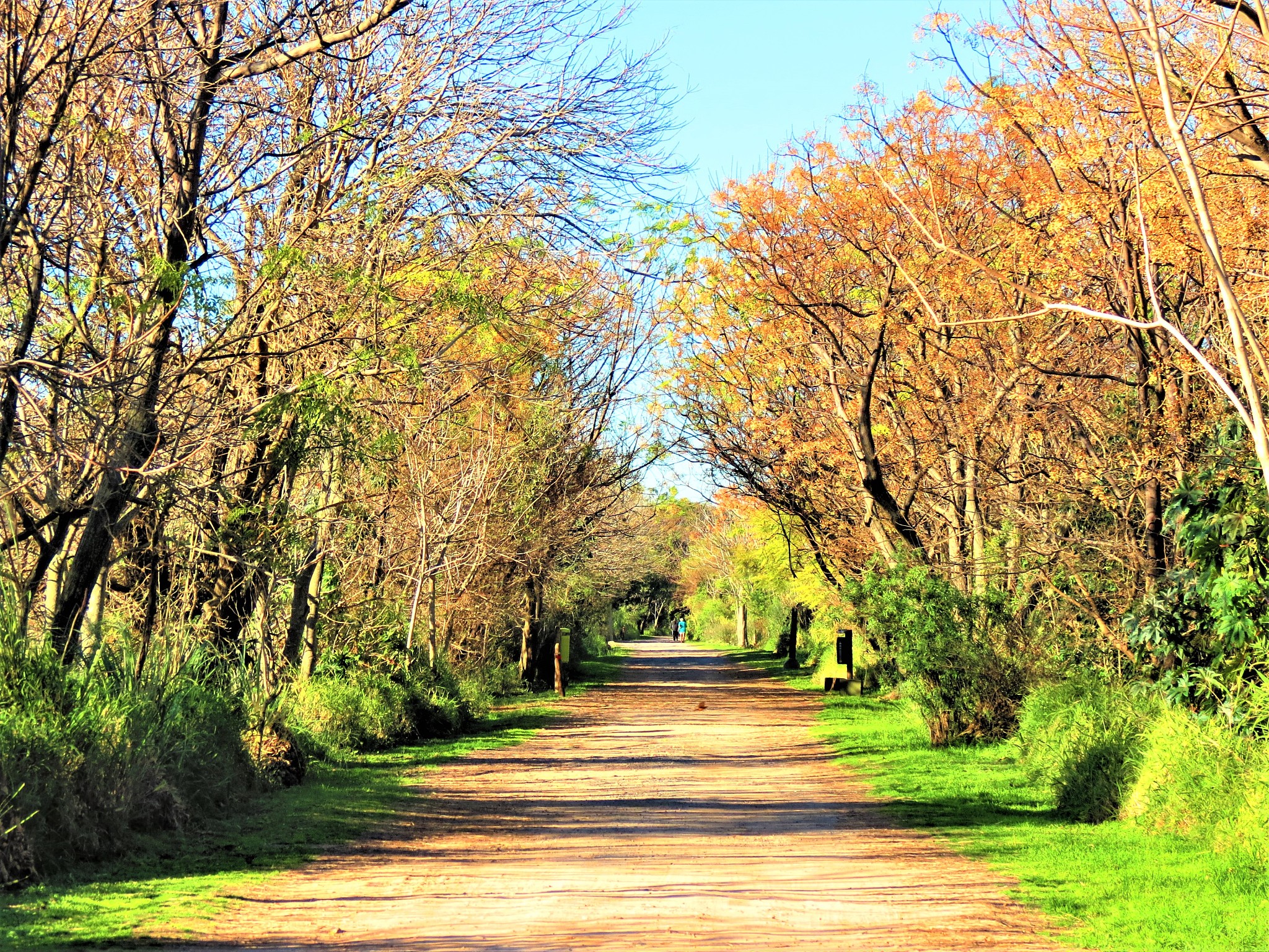 省道工程已经避让生态保护红线的情况