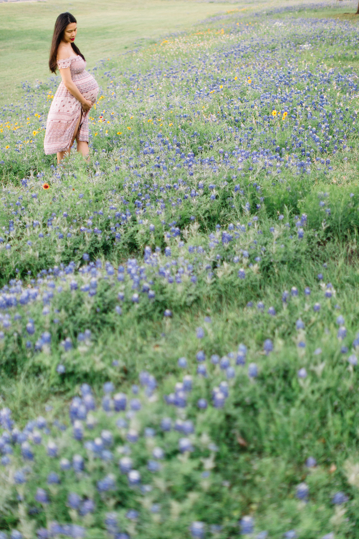 bluebonnet shoot