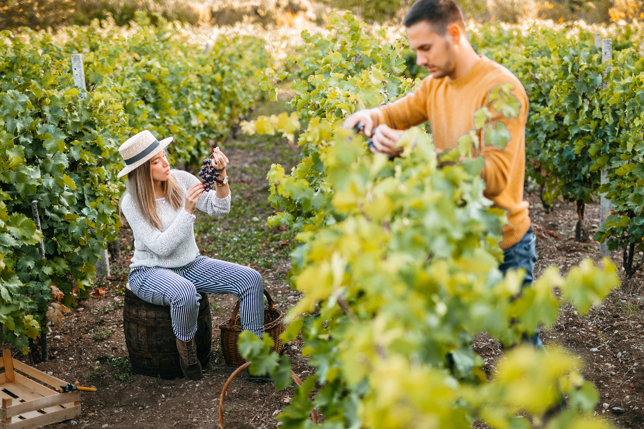陇东学院农学专业就业范围：农业科技领域就业前景