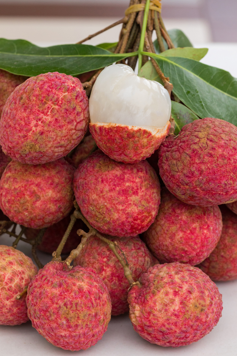 东魁杨梅：起源、历史与特色 - 大埔县特产