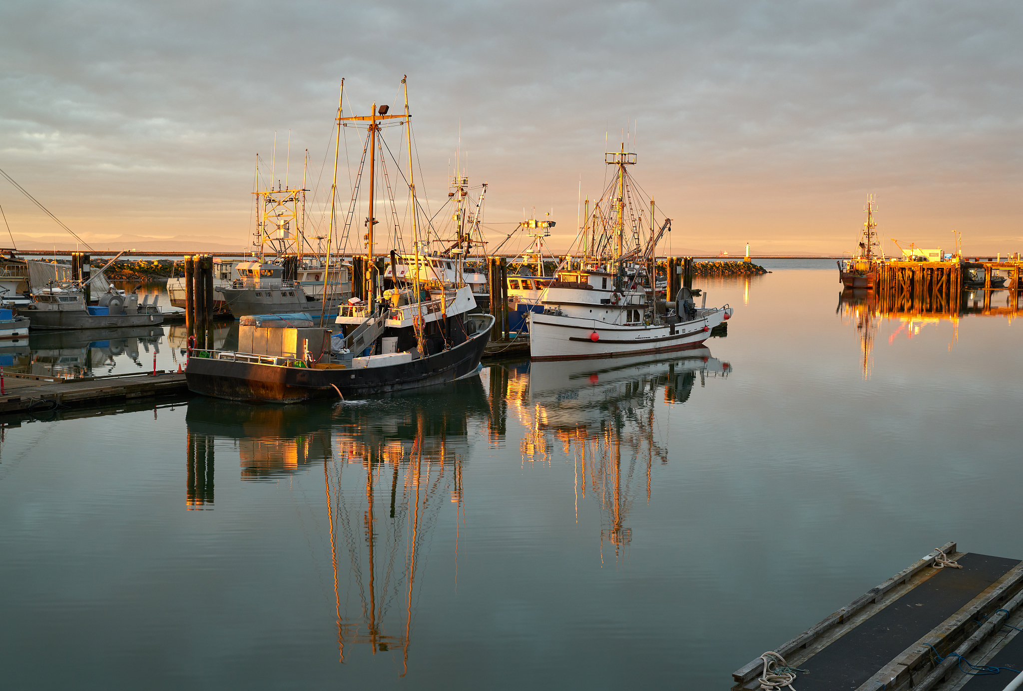 steveston fishboats at dawn