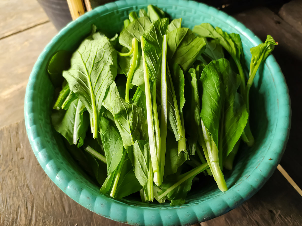 芥菜的腌制工艺及配方