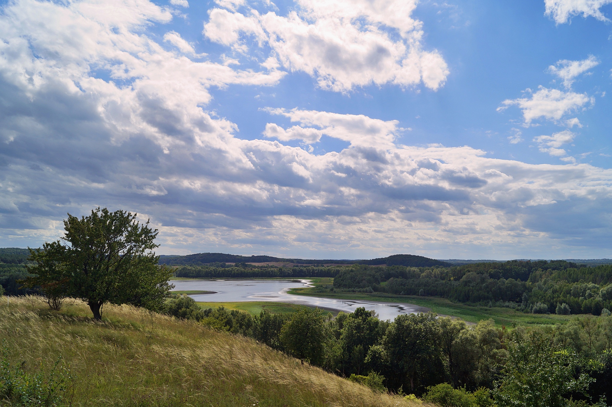 自然保护地生态修复研究背景：方法、效益及崇明东滩案例