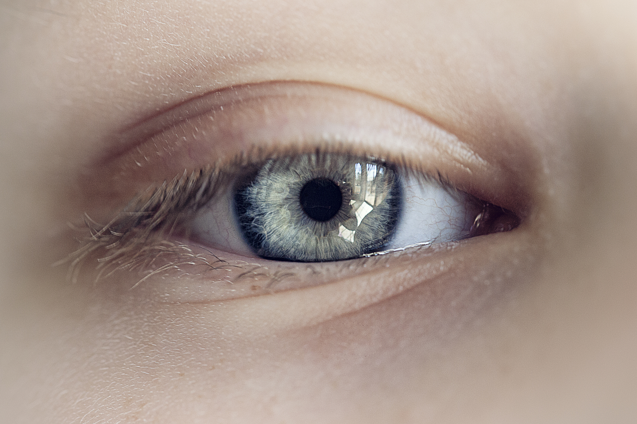 macro shot of child's eye