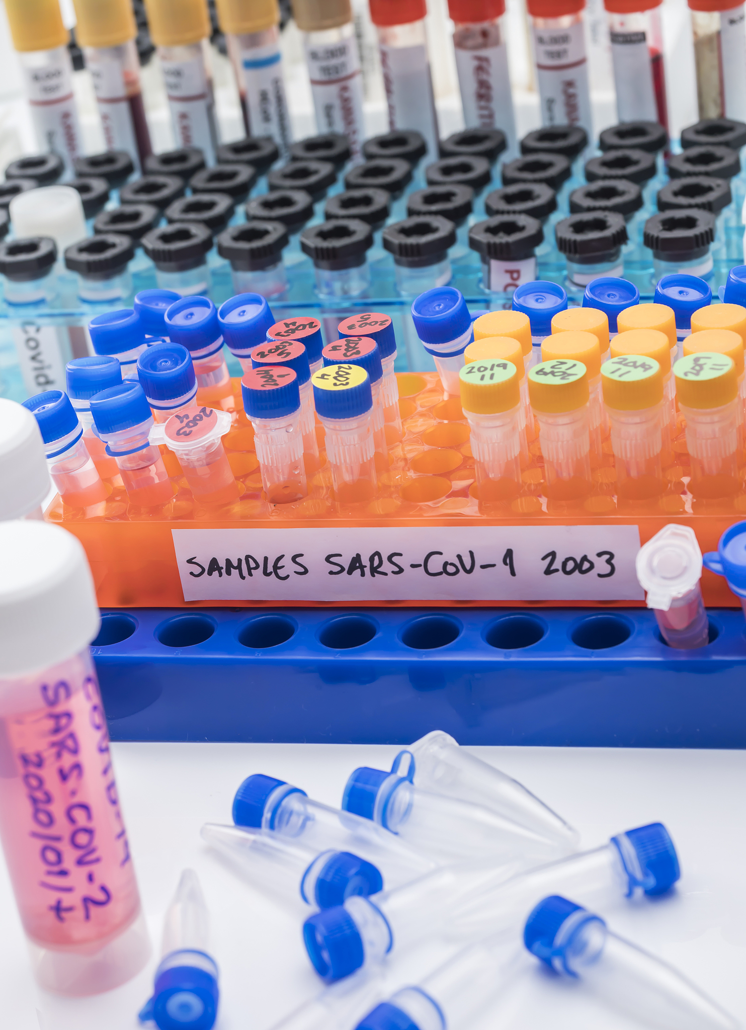 临床医学专业学习内容详解：基础知识、技能和相关领域