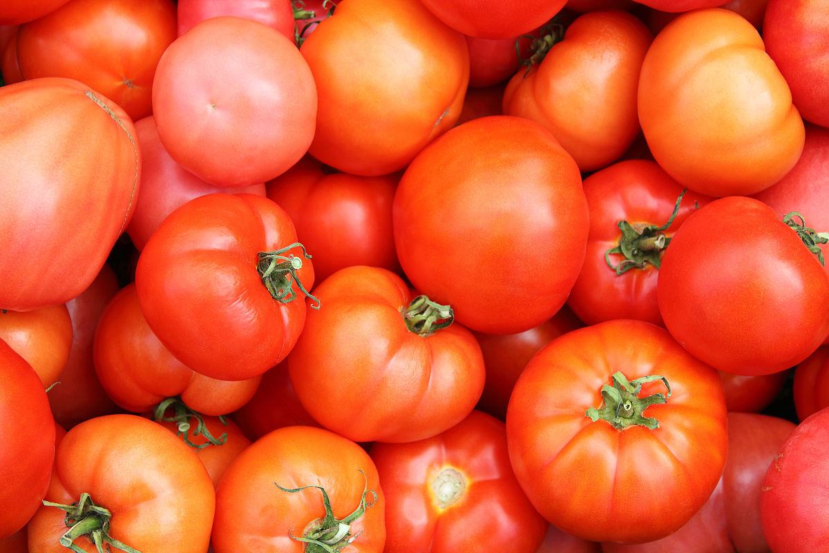 中山市火炬科学技术学校2022年招生简章 - 附报名时间及方式