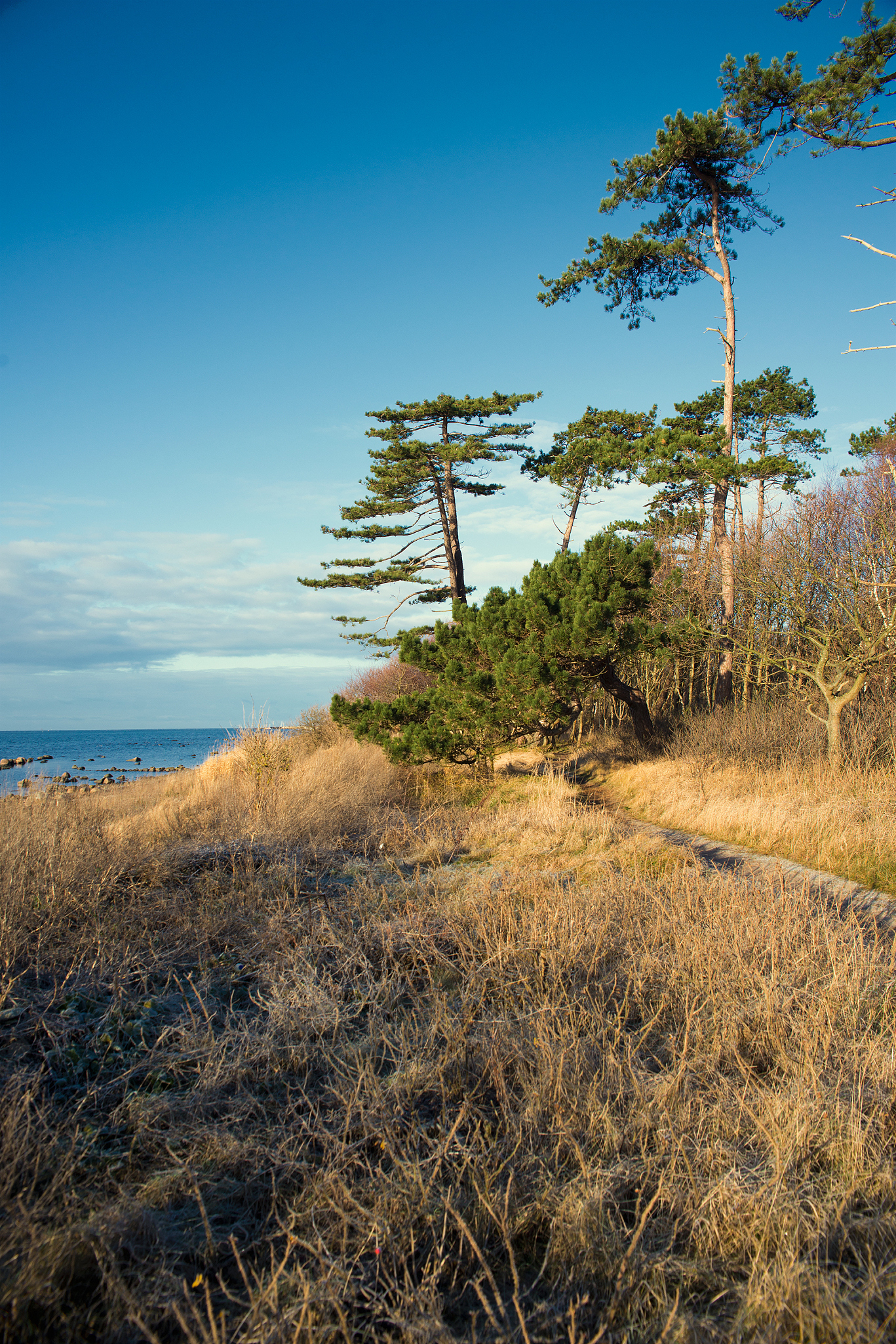 landscape near the sea
