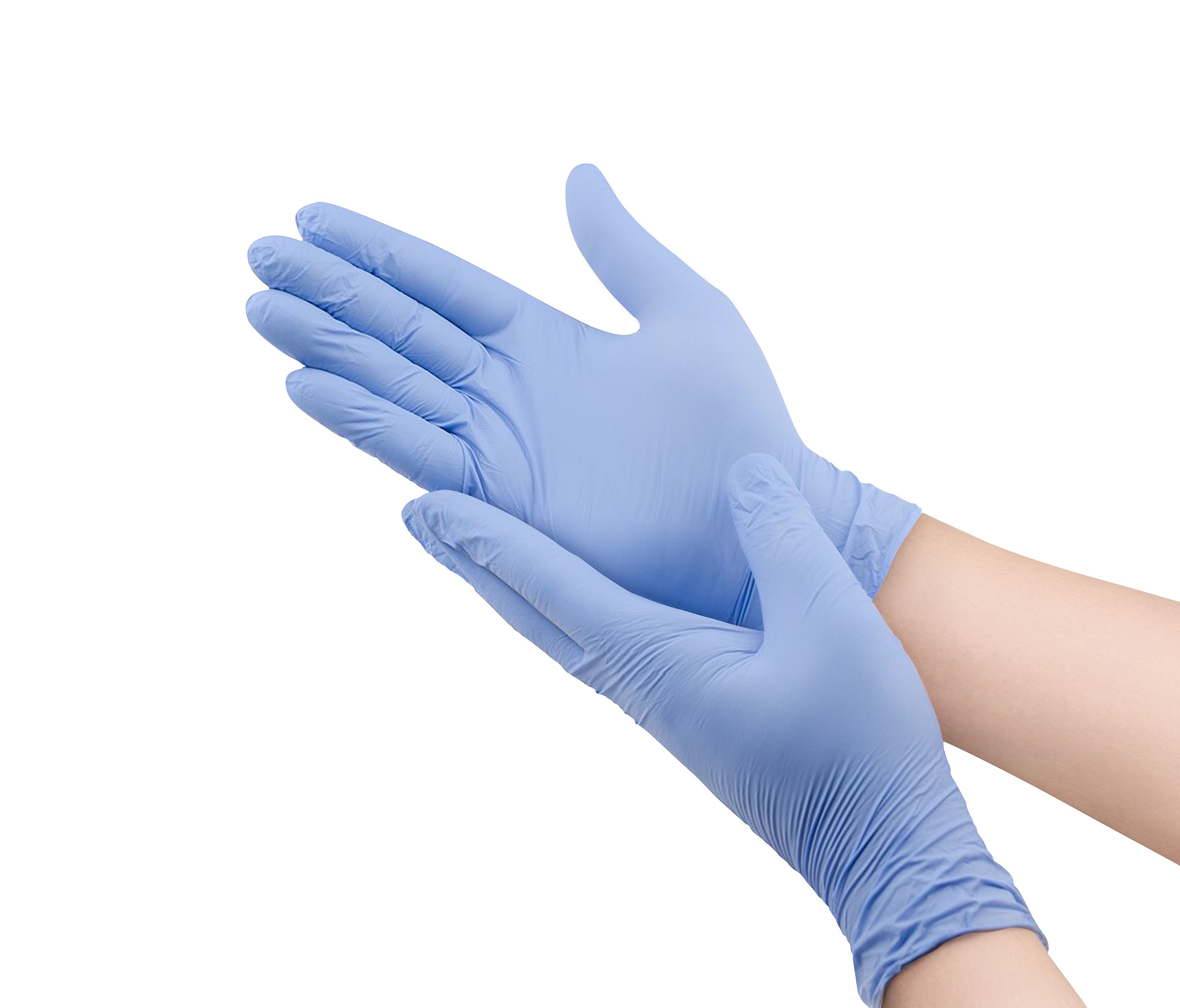 two blue surgical medical gloves isolated on white background wi