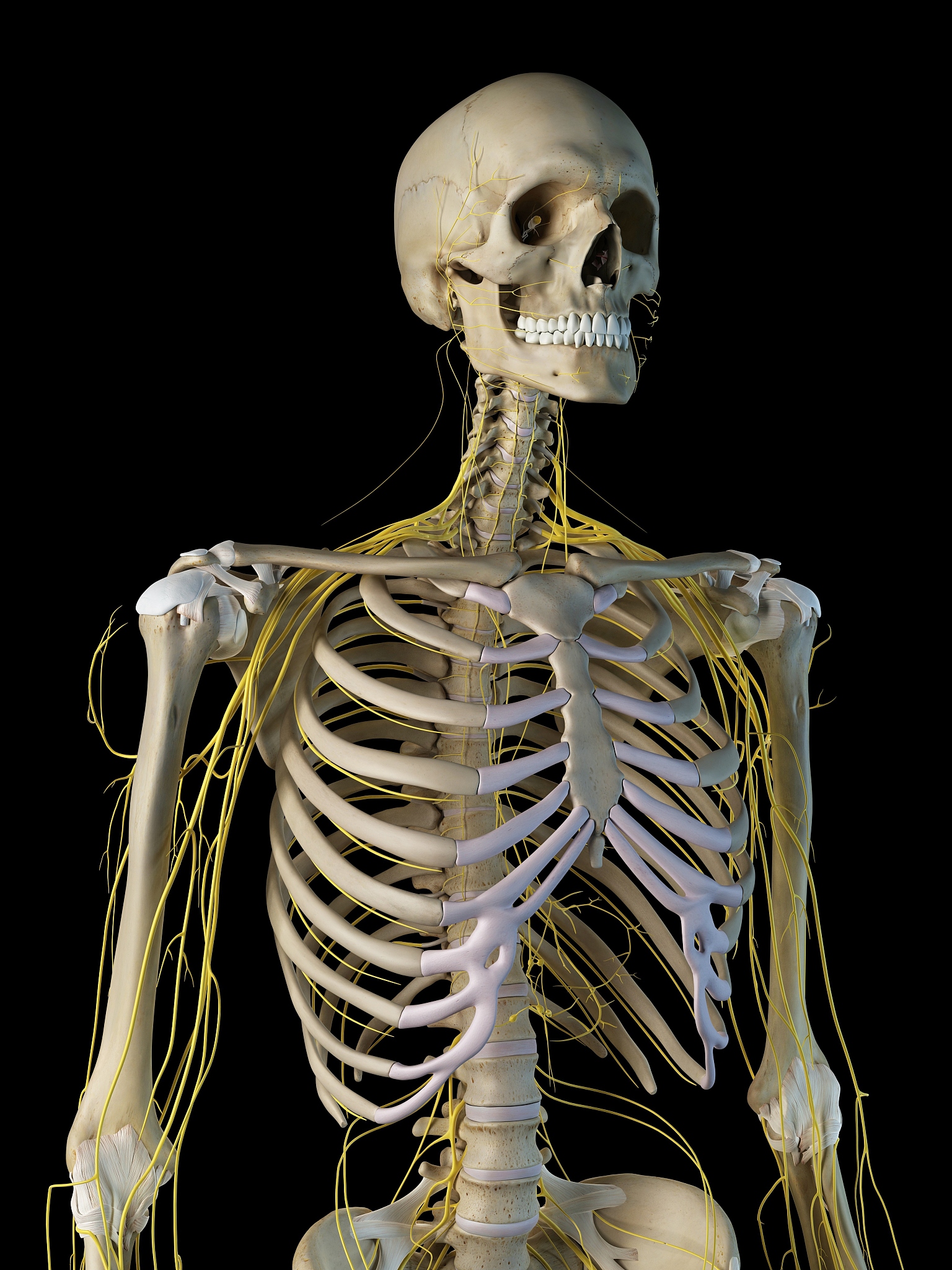 写一个铬的危害介绍800字