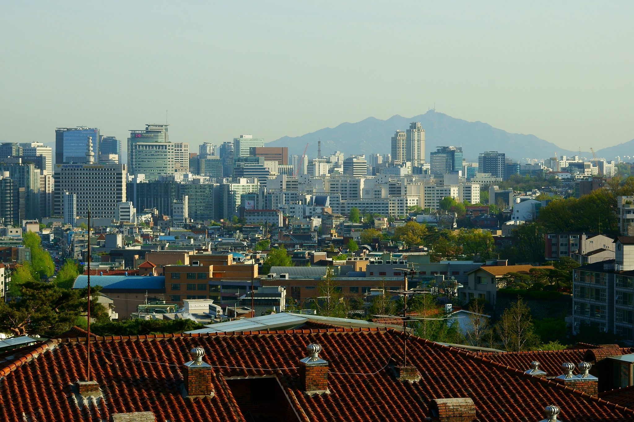 buildings and houses