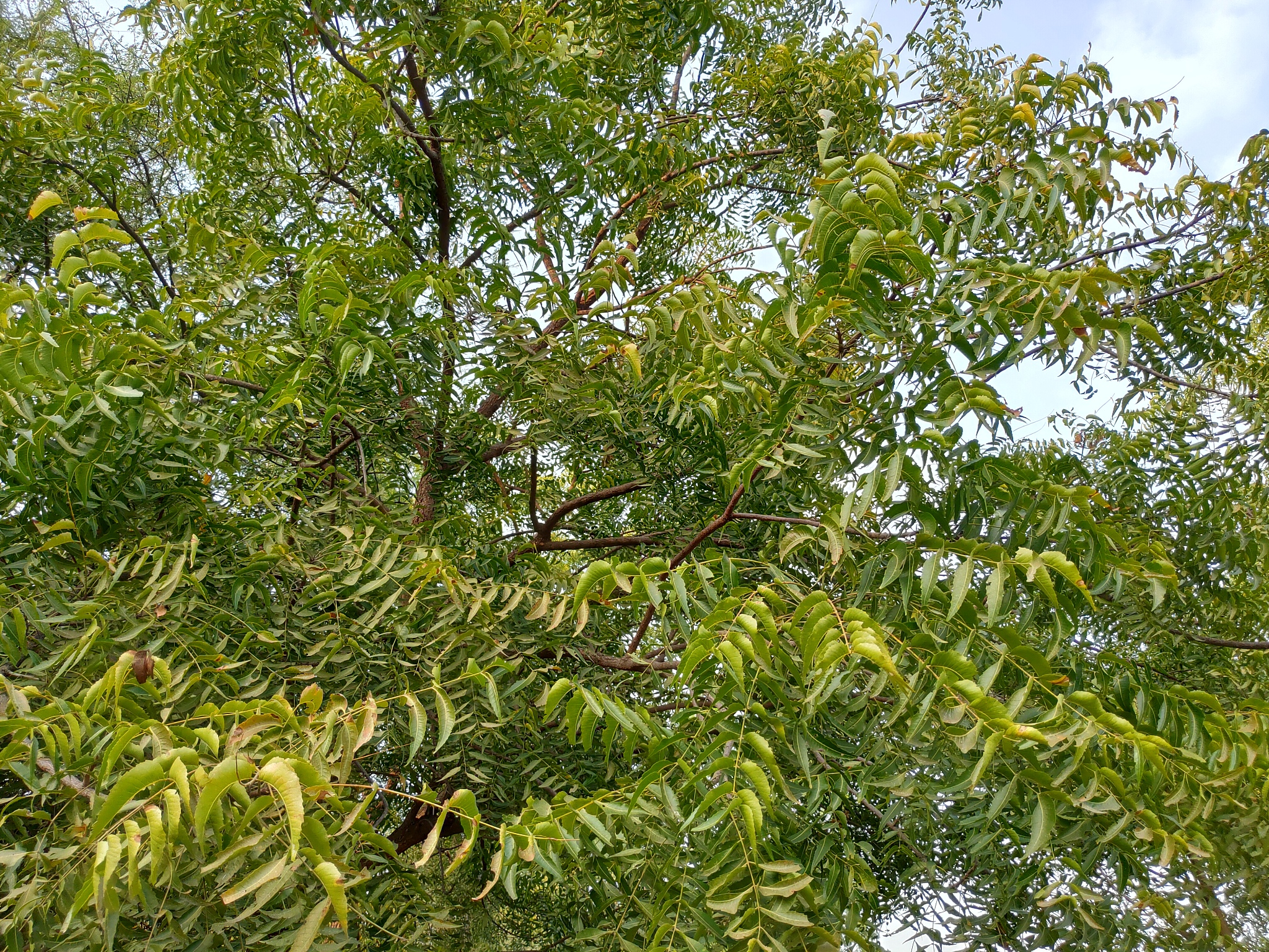 成都卫生学校医学影像专业毕业推荐工作吗？就业前景分析