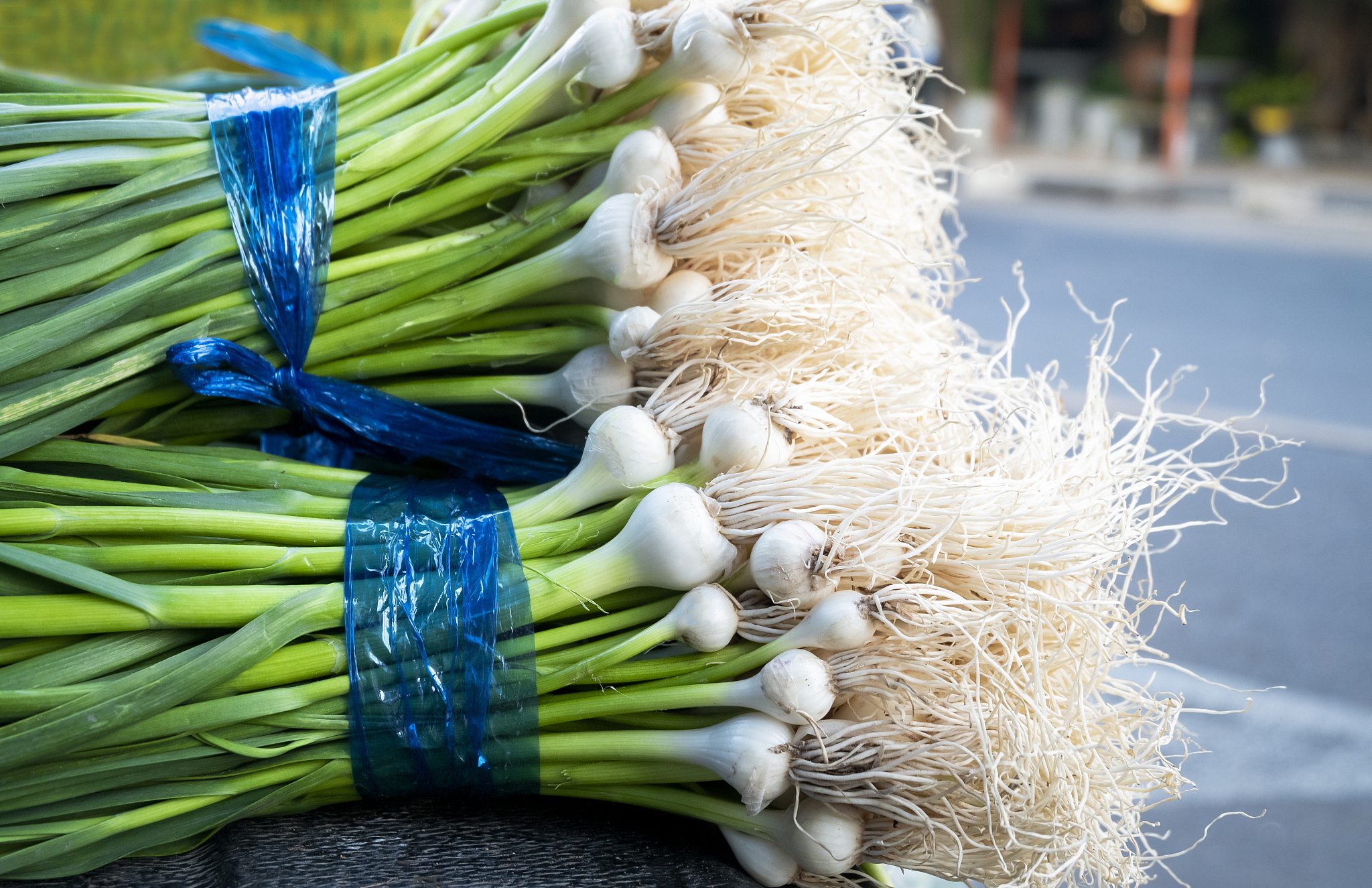 fresh green garlic small harvested from farms sold at the market