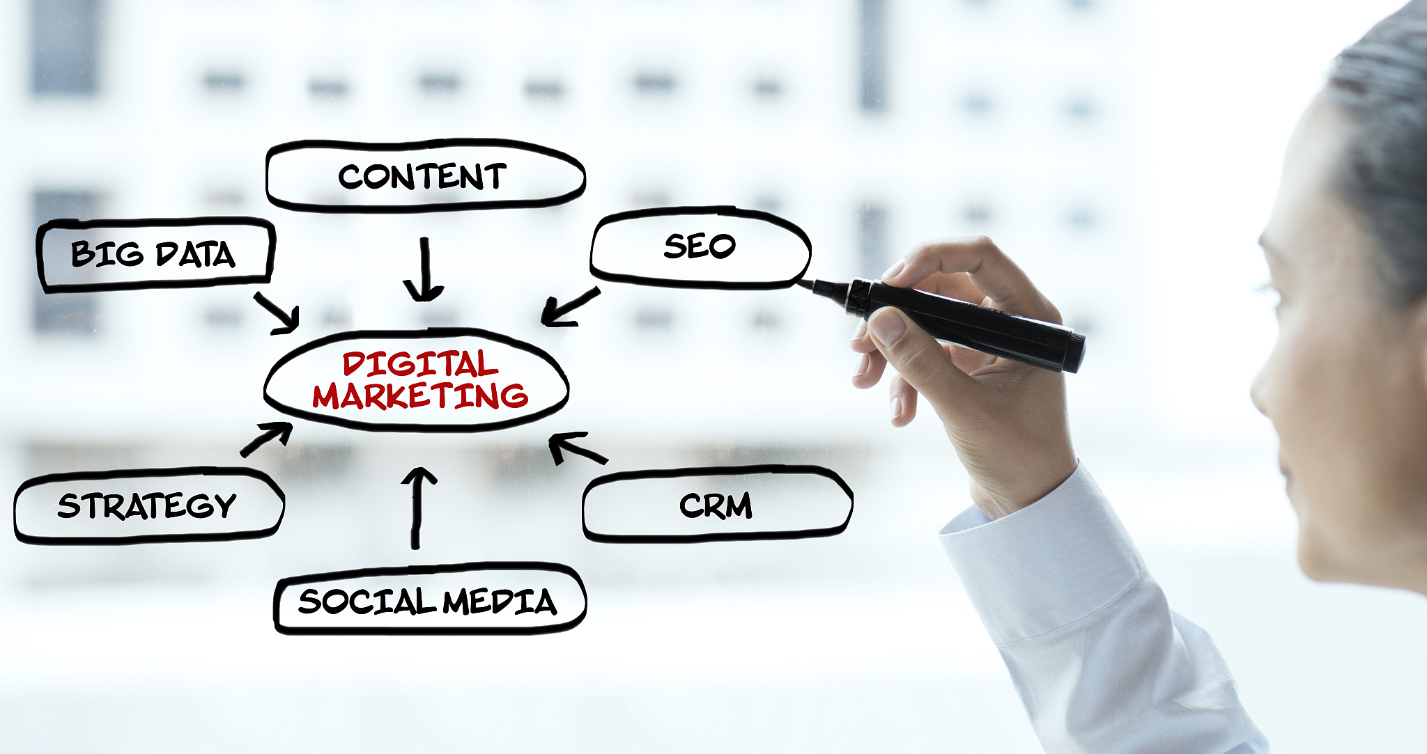 需要语言帮助吗？我可以提供服务！