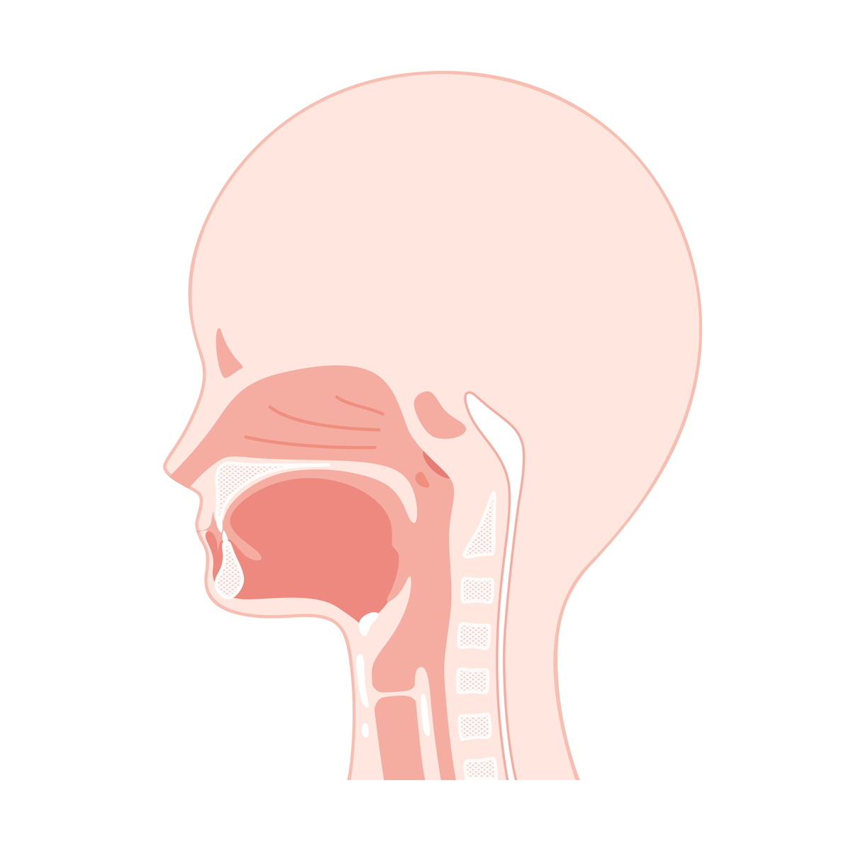 如何理解通过控制呼吸使气息能够持续地输出以支撑声音的表达和发挥。