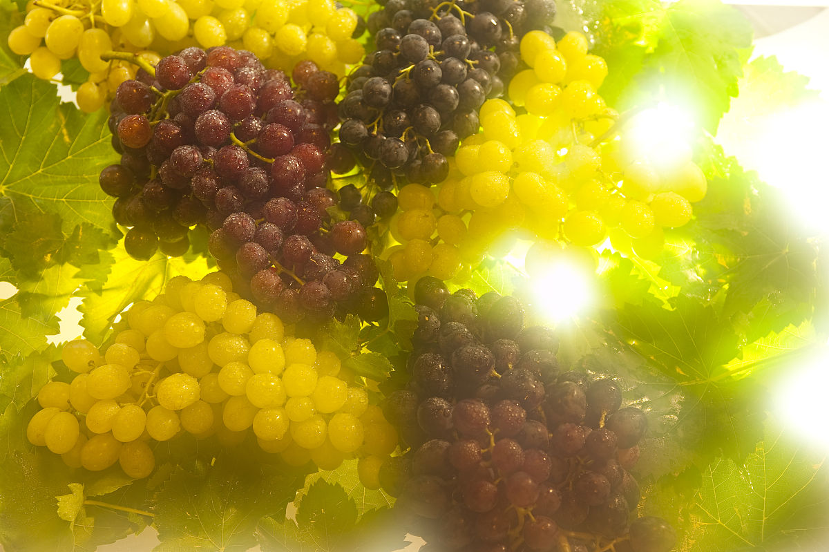 男生为什么会喜欢吃两个葡萄，