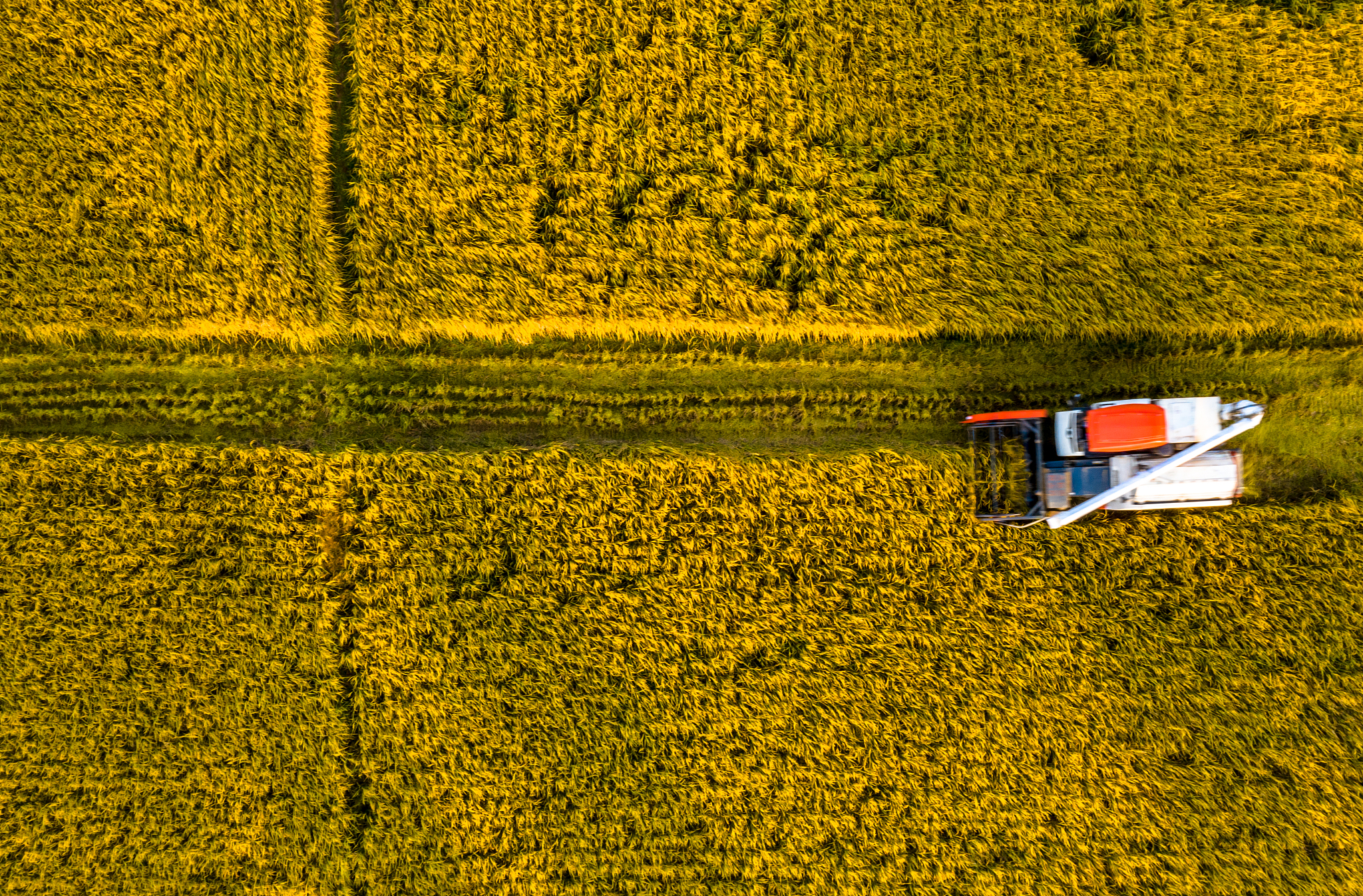 台山技工学校2022年招生条件-报名时间-录取分数线