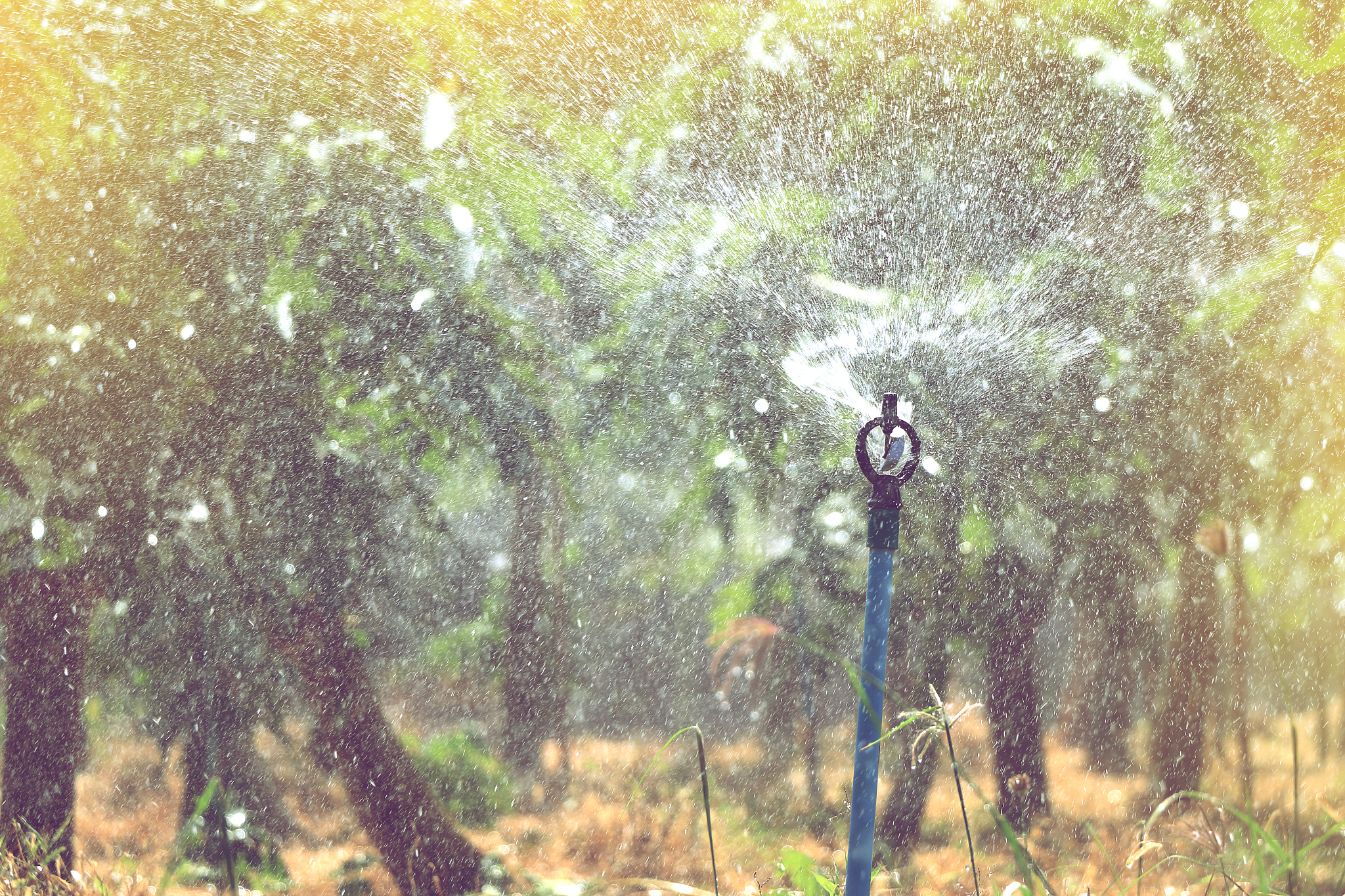 重庆园林技工学校园林技术教学质量怎么样