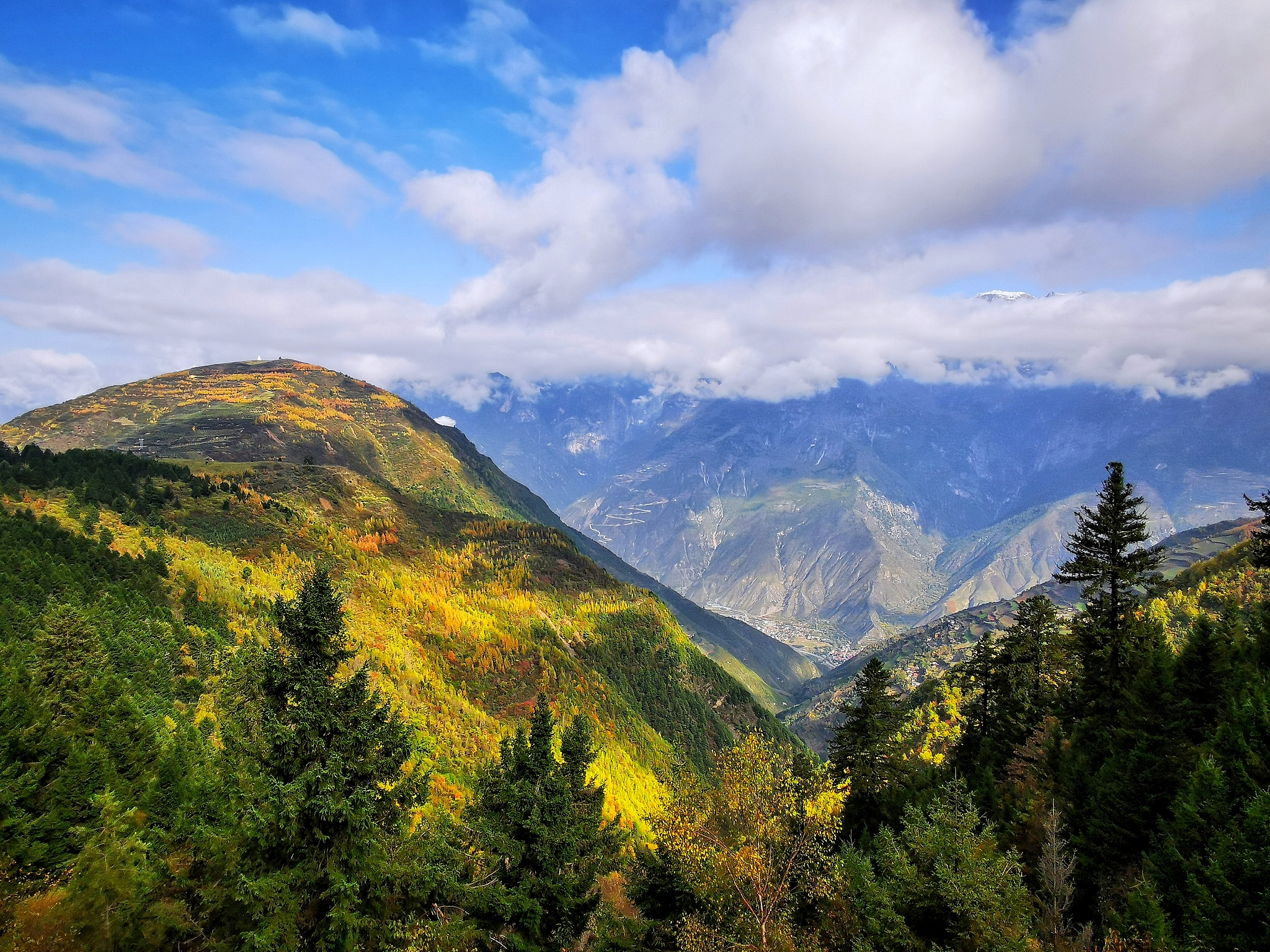 舟曲县职业中学2021年招生简章