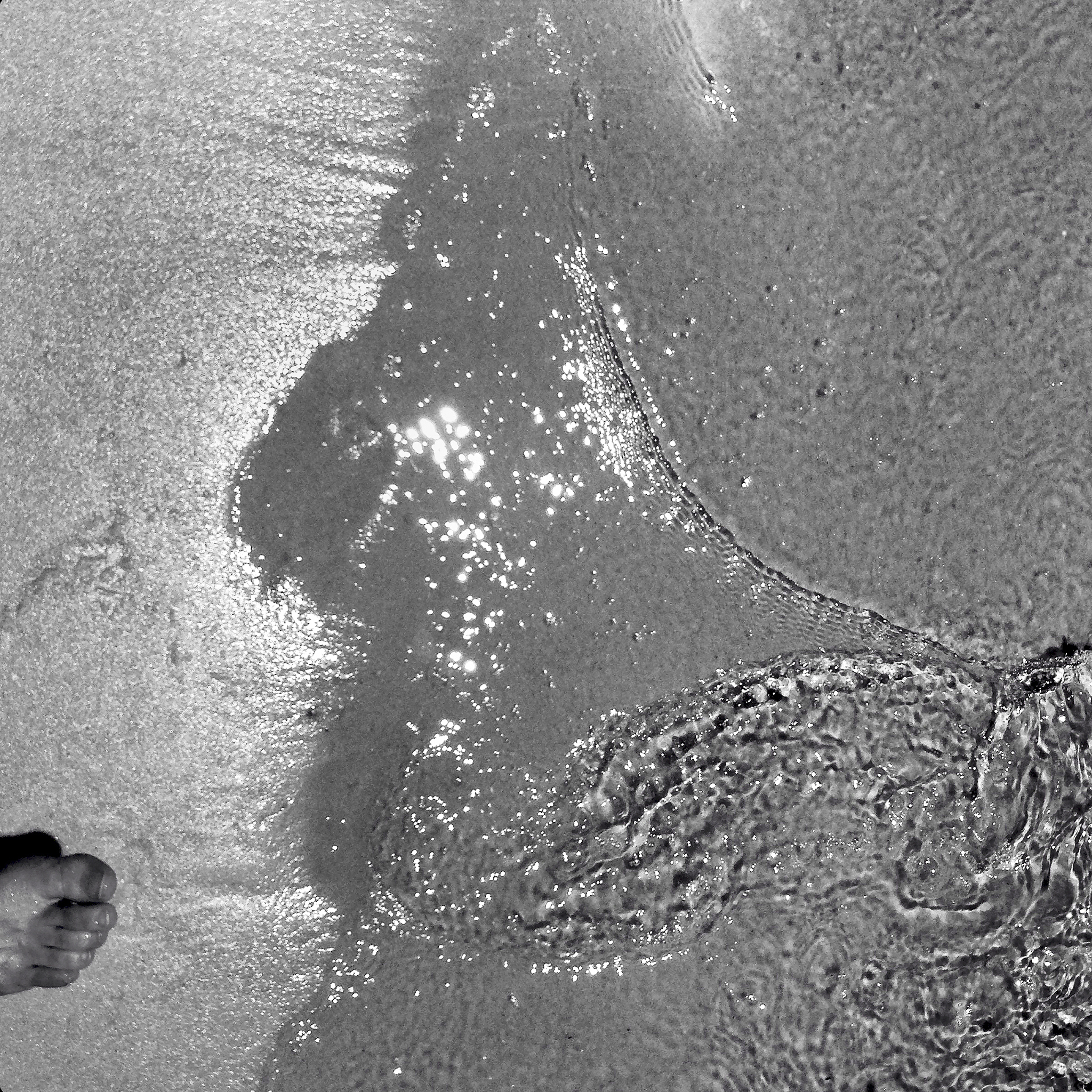 纳米材料成分分析方法及应用 | SEM、TEM、XRD等技术解析