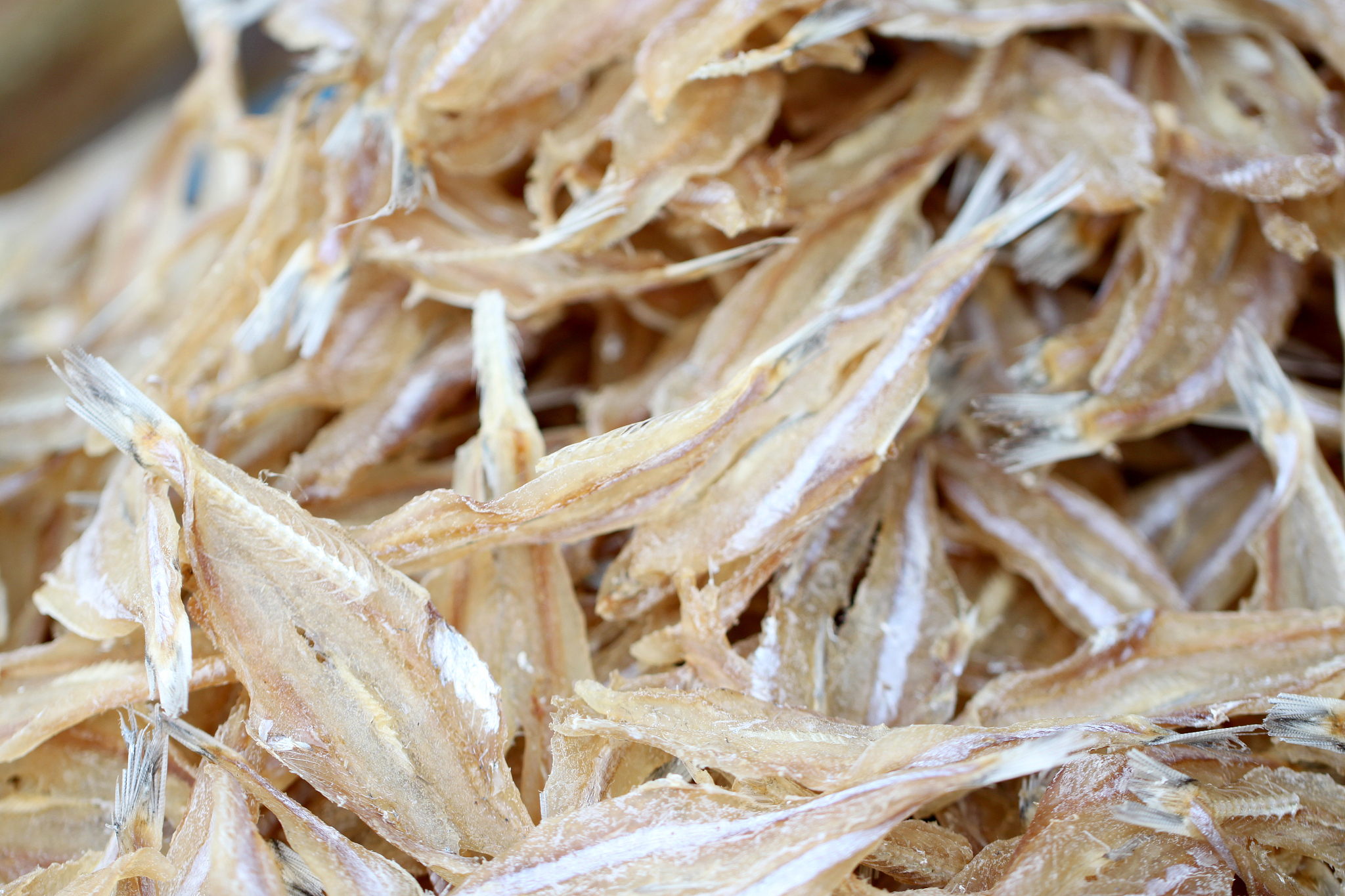 吉林大学食品质量与安全专业：教学特色及未来发展