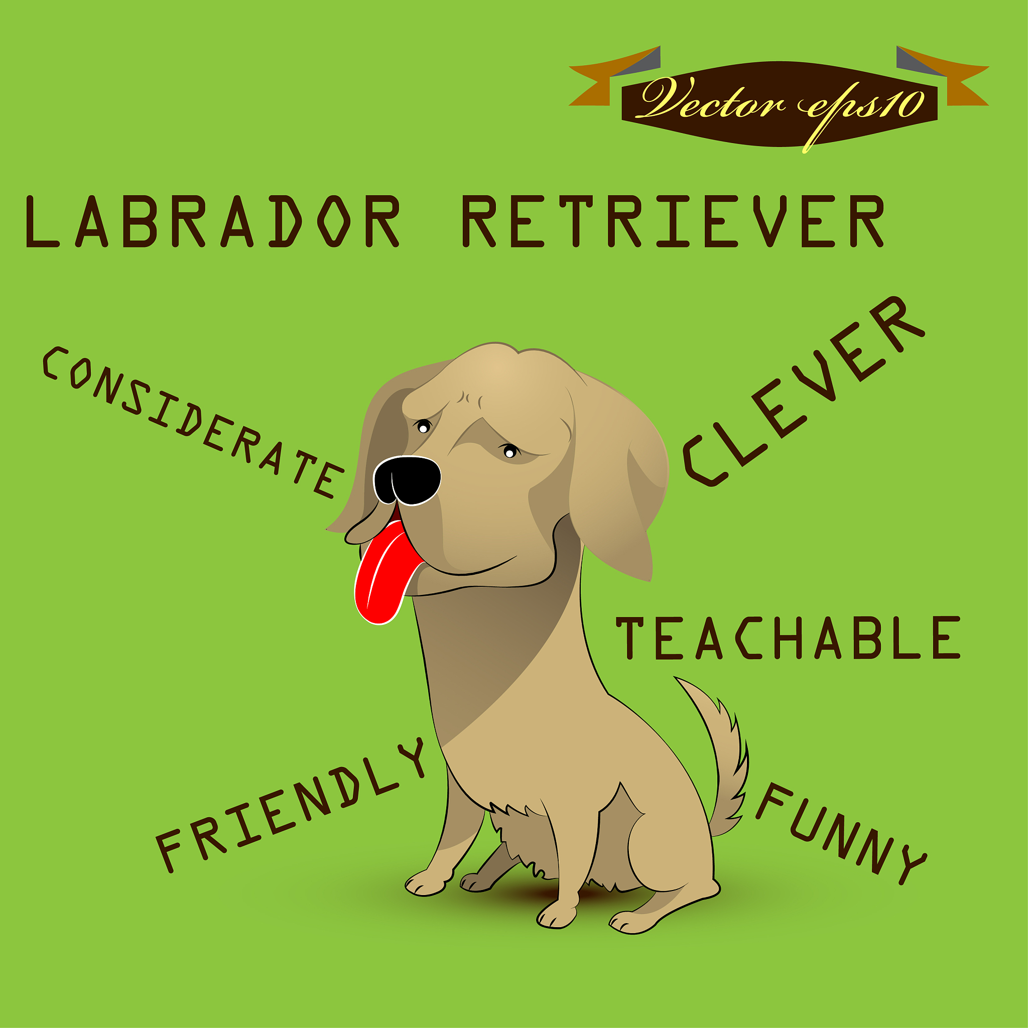 先给5个问题型长尾词再每个词写一篇文章字数多点