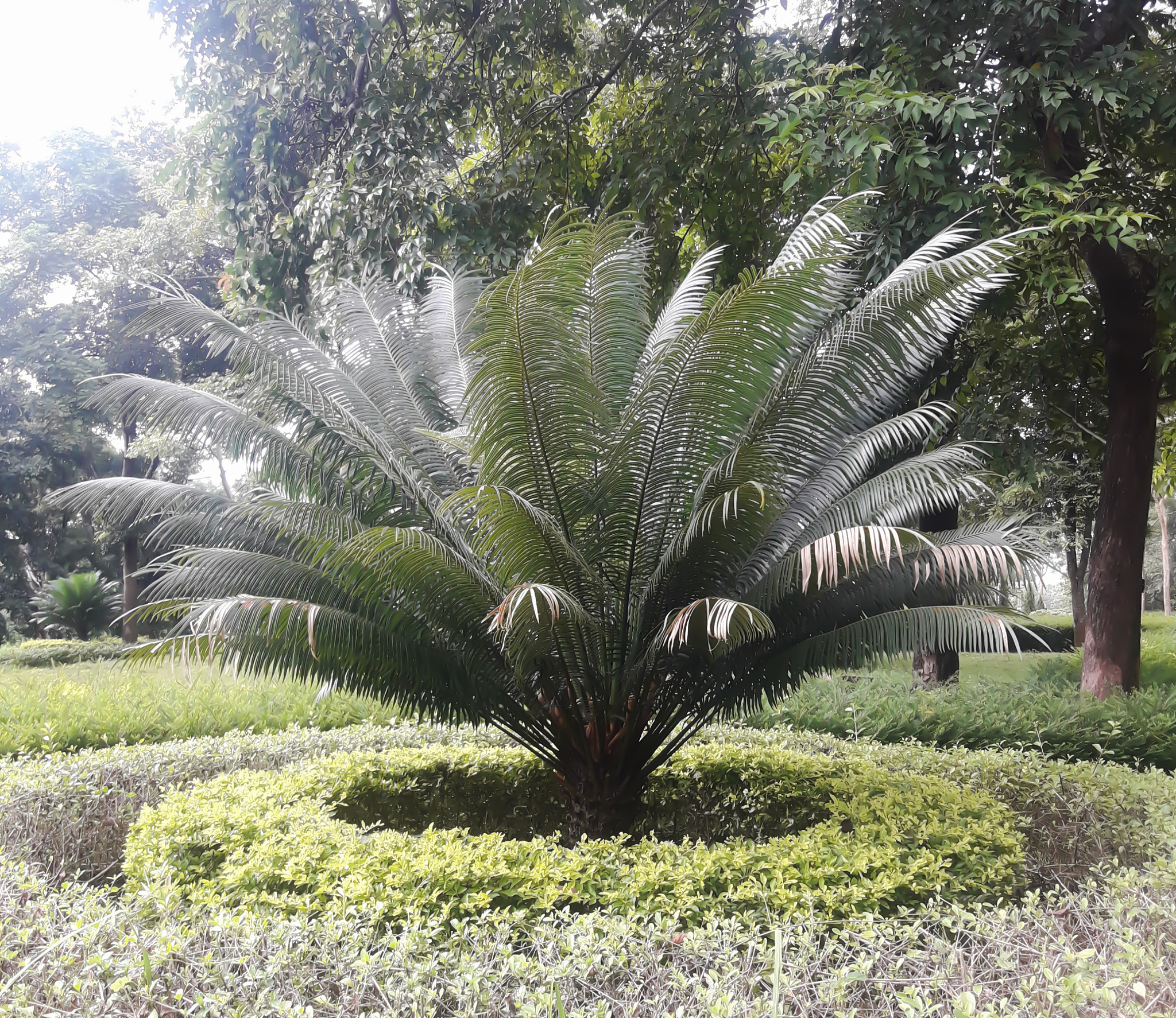 西安市园林技工学校2021年招生专业都有哪些