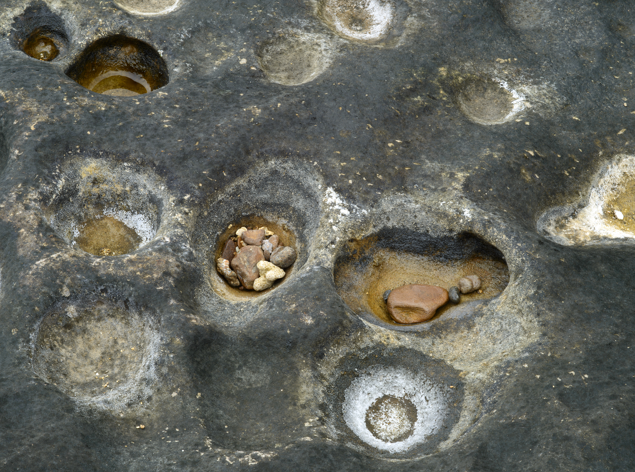 标准组患者水和钠摄入量显著高于限制组：莫尔斯损伤后钠潴留原理验证