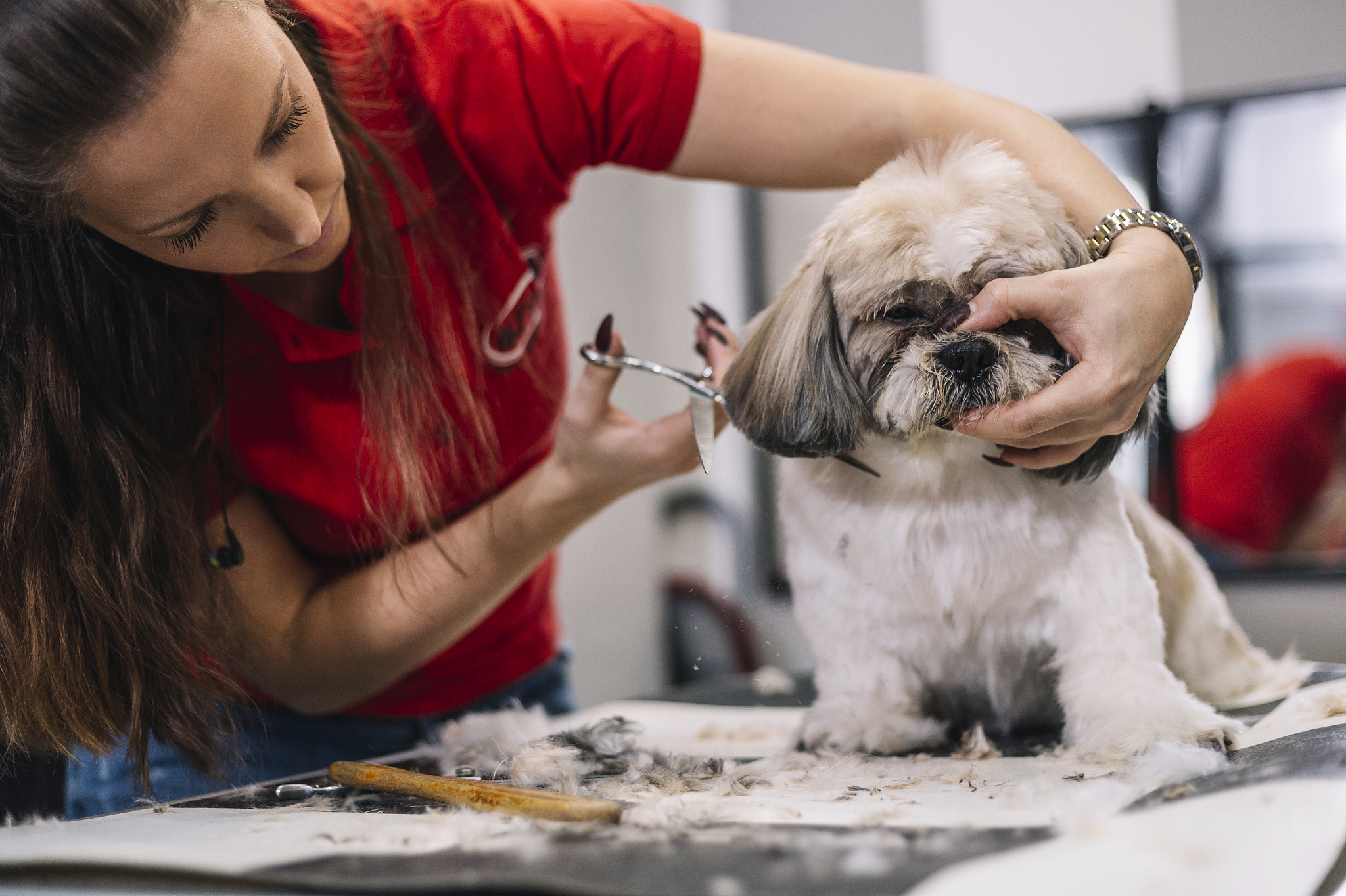 养宠物真的可以让人不孤独吗？一位宠物饲养员的见解
