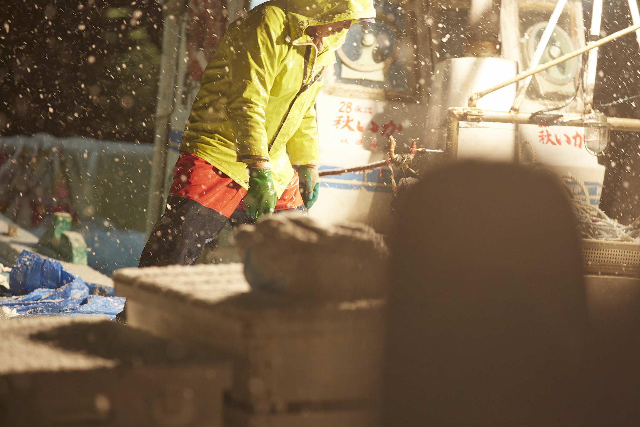 FISHERIES SCIENCE 期刊：涵盖渔业科学各个领域的研究