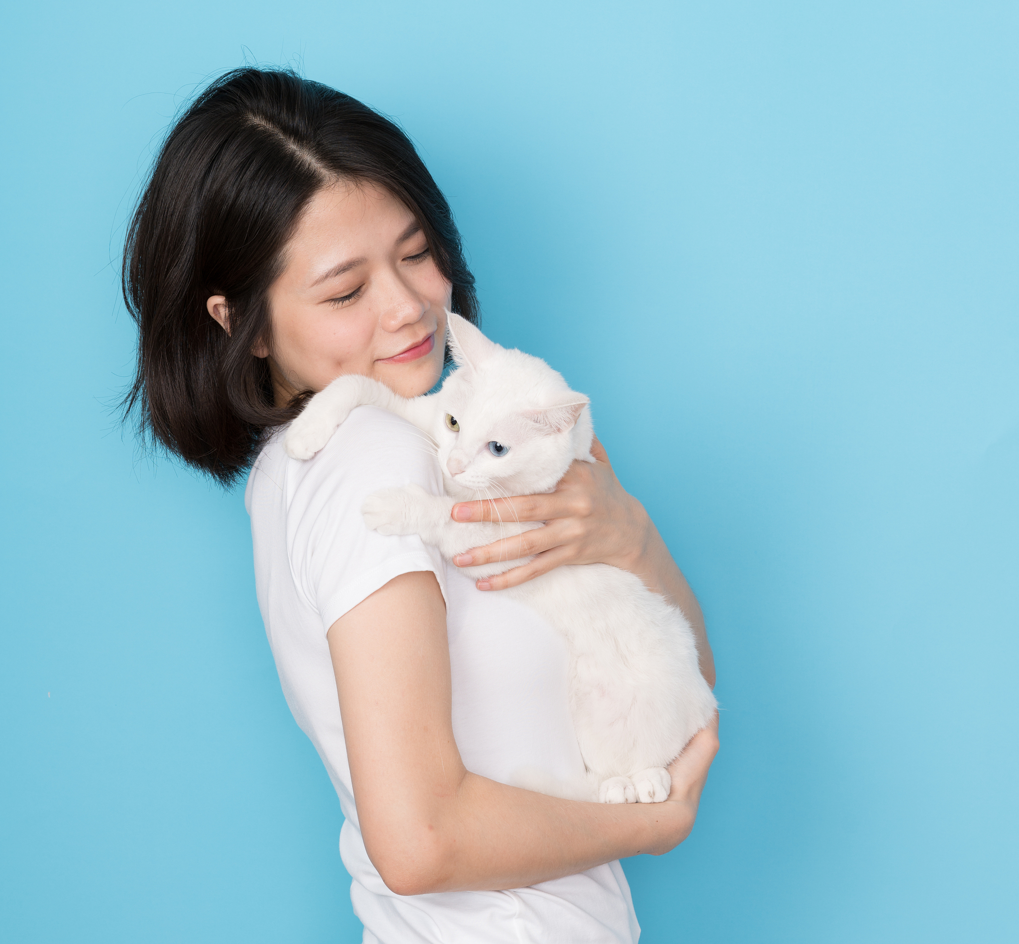 女生抱着一只白猫