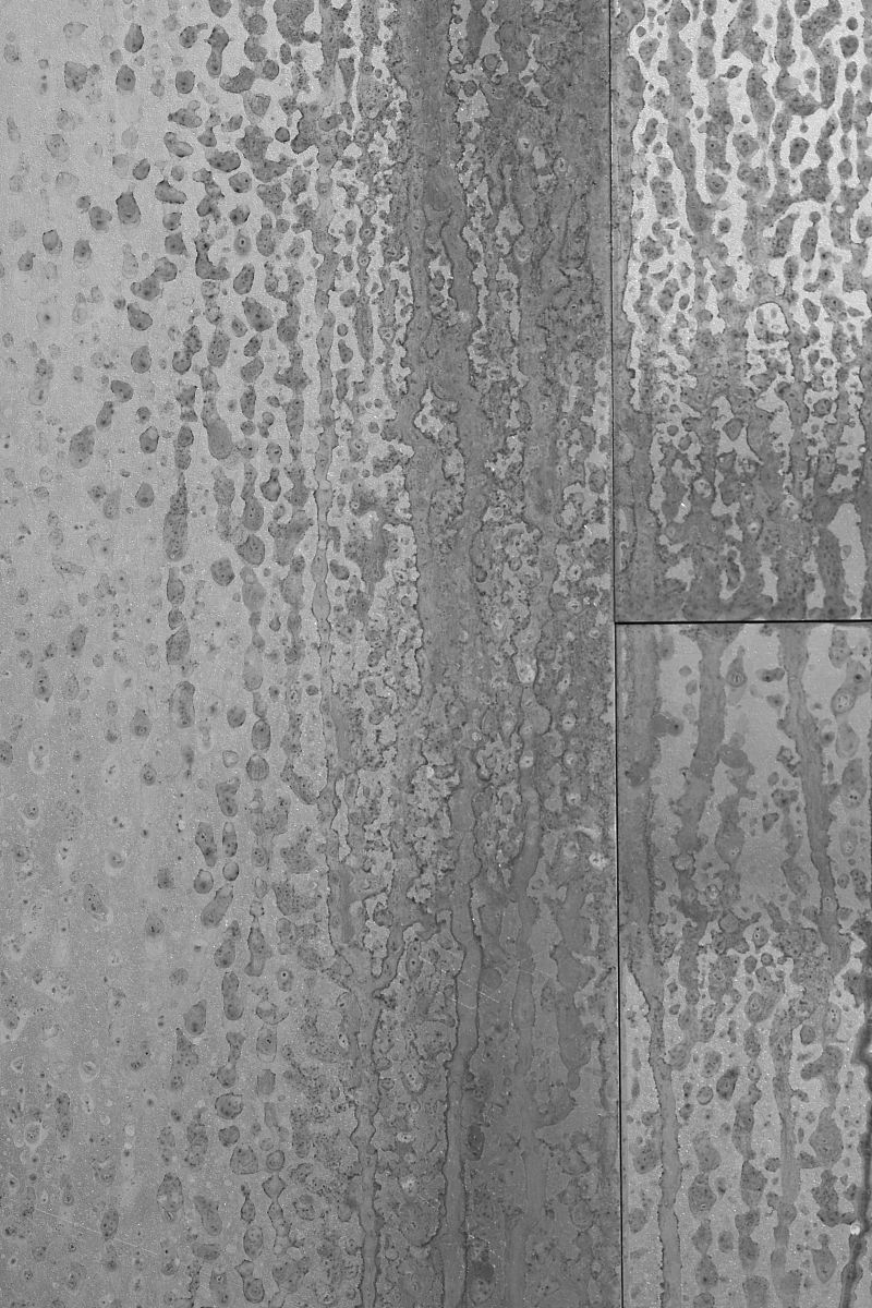 根据目前学术研究结果，哪种金属最不容易被铅铋合金腐蚀