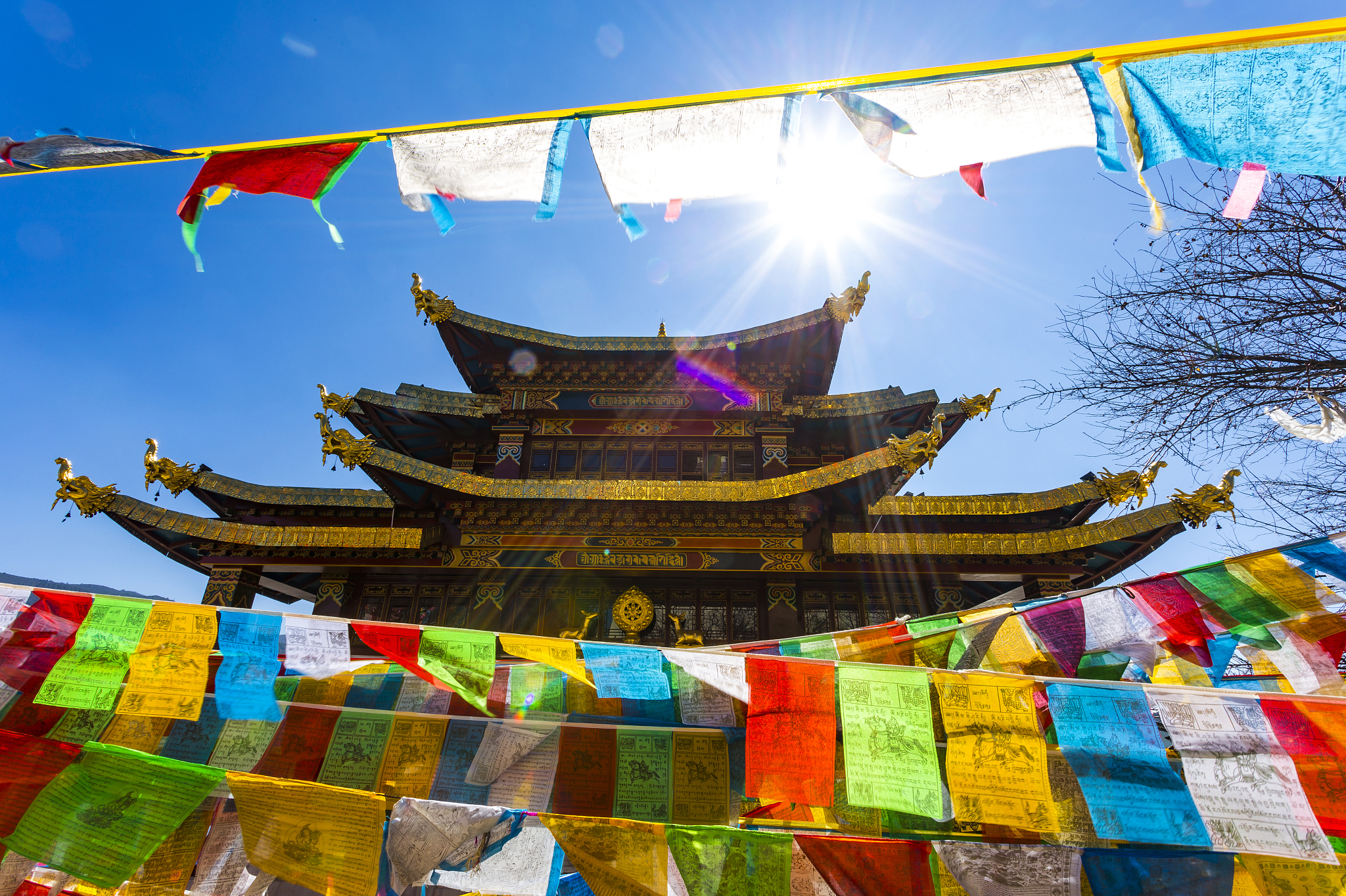 闽西职业技术学院旅游管理专业怎么样？就业前景分析