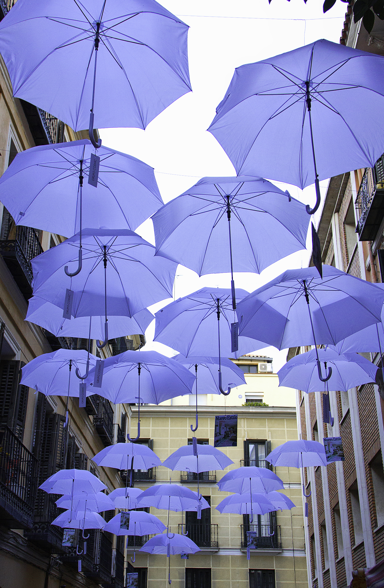 raining umbrellas