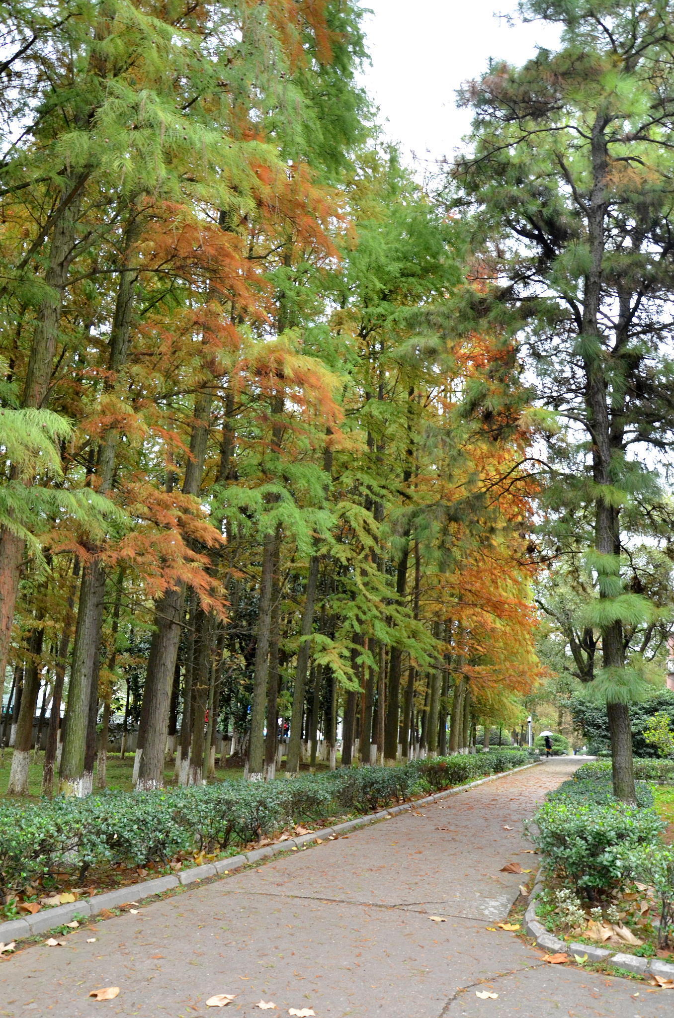 湖南工程造价专业学校哪家强这几所学校别错过!