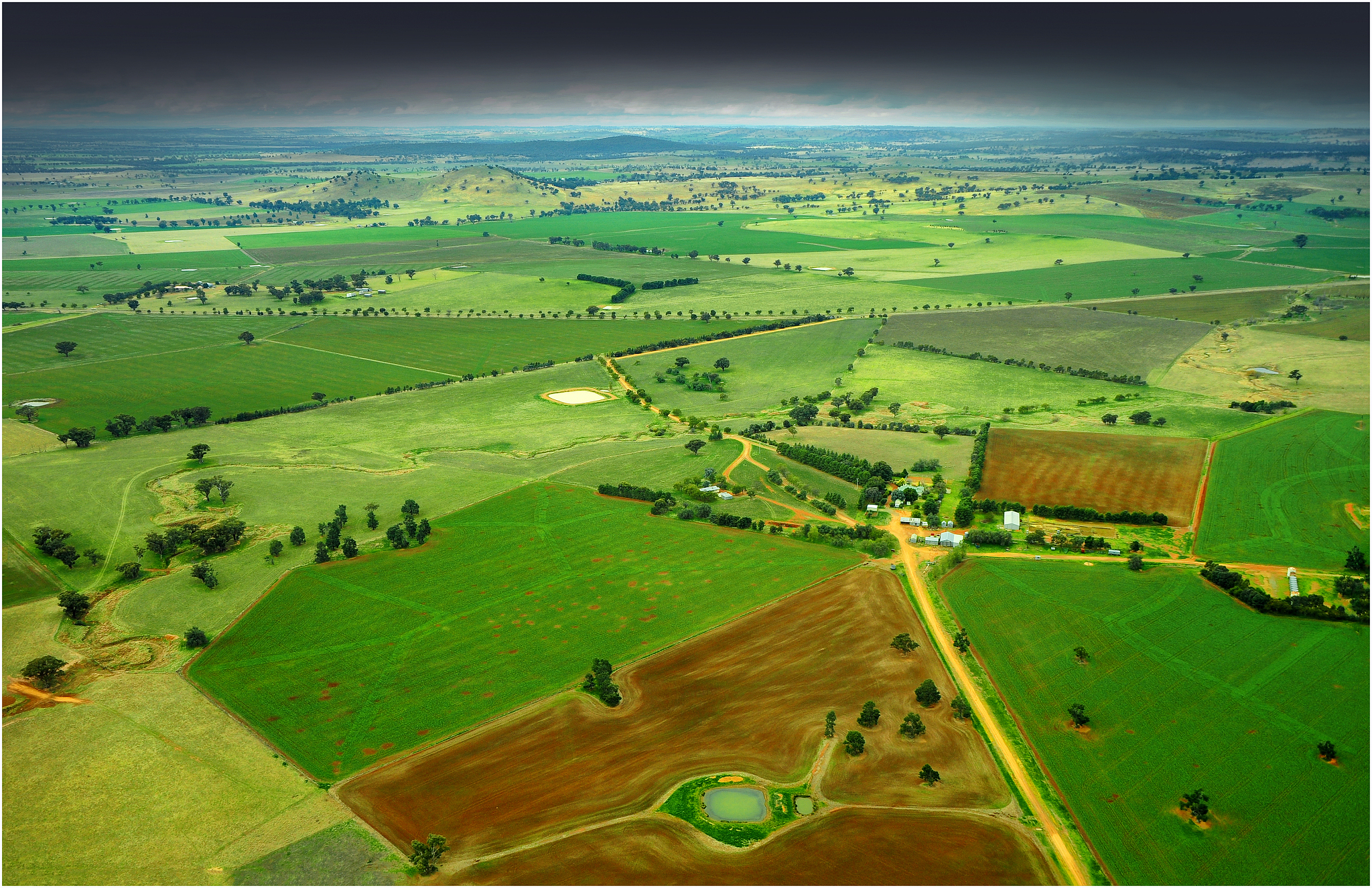 the rolling countryside near griffiths, new south wales, austral