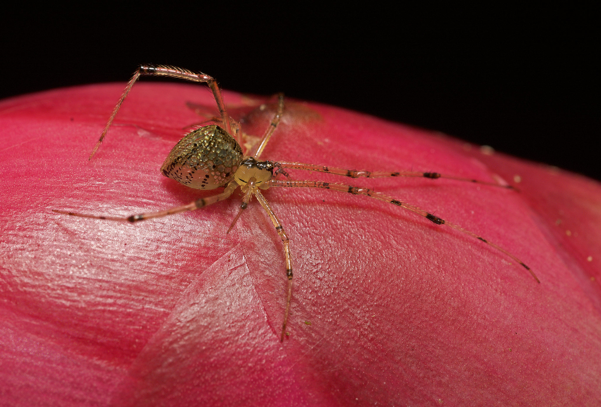 自然生态倍丰盛是什么意思回答+拓展