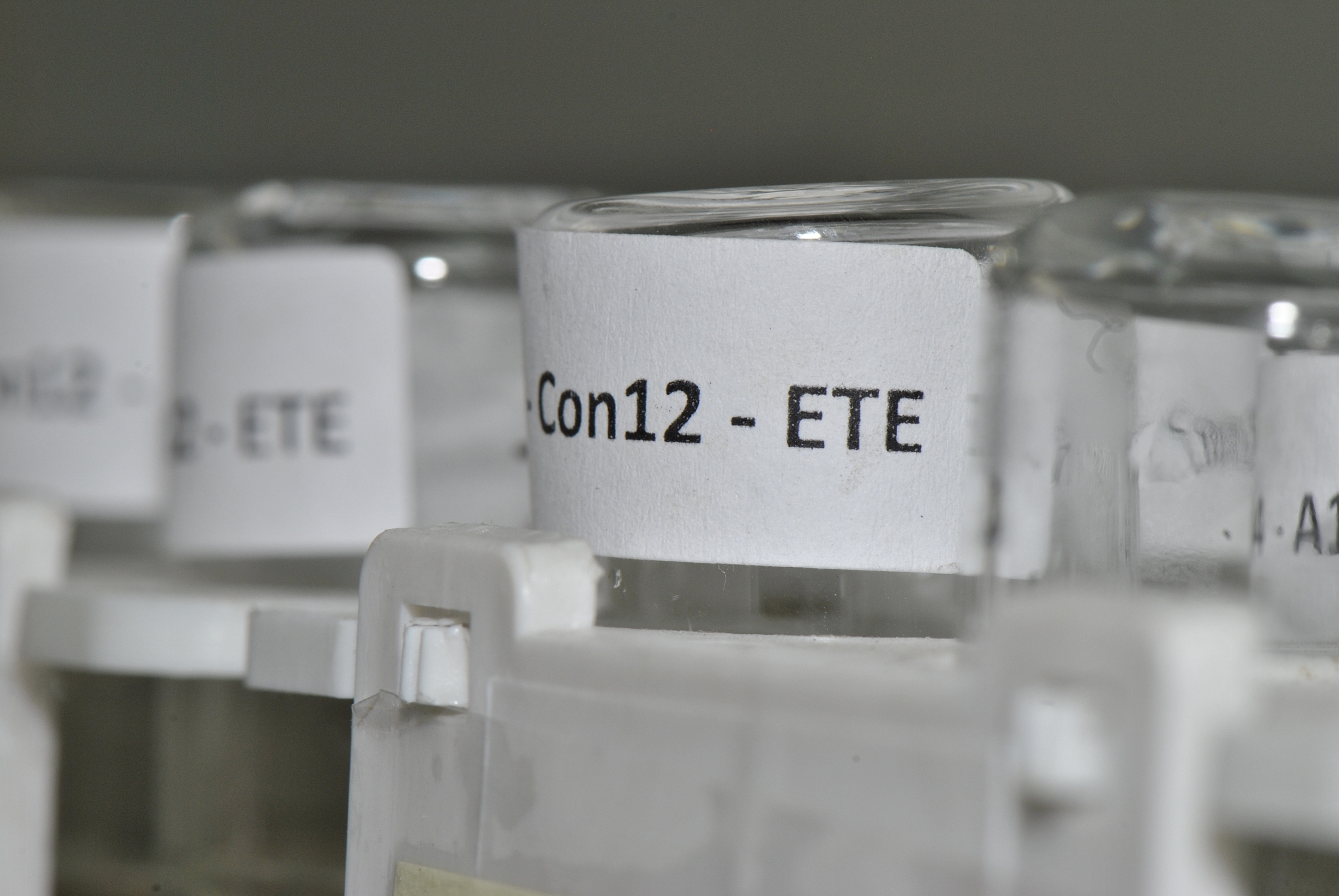 锂电池电解质盐TFSA: 高性能但需谨慎使用