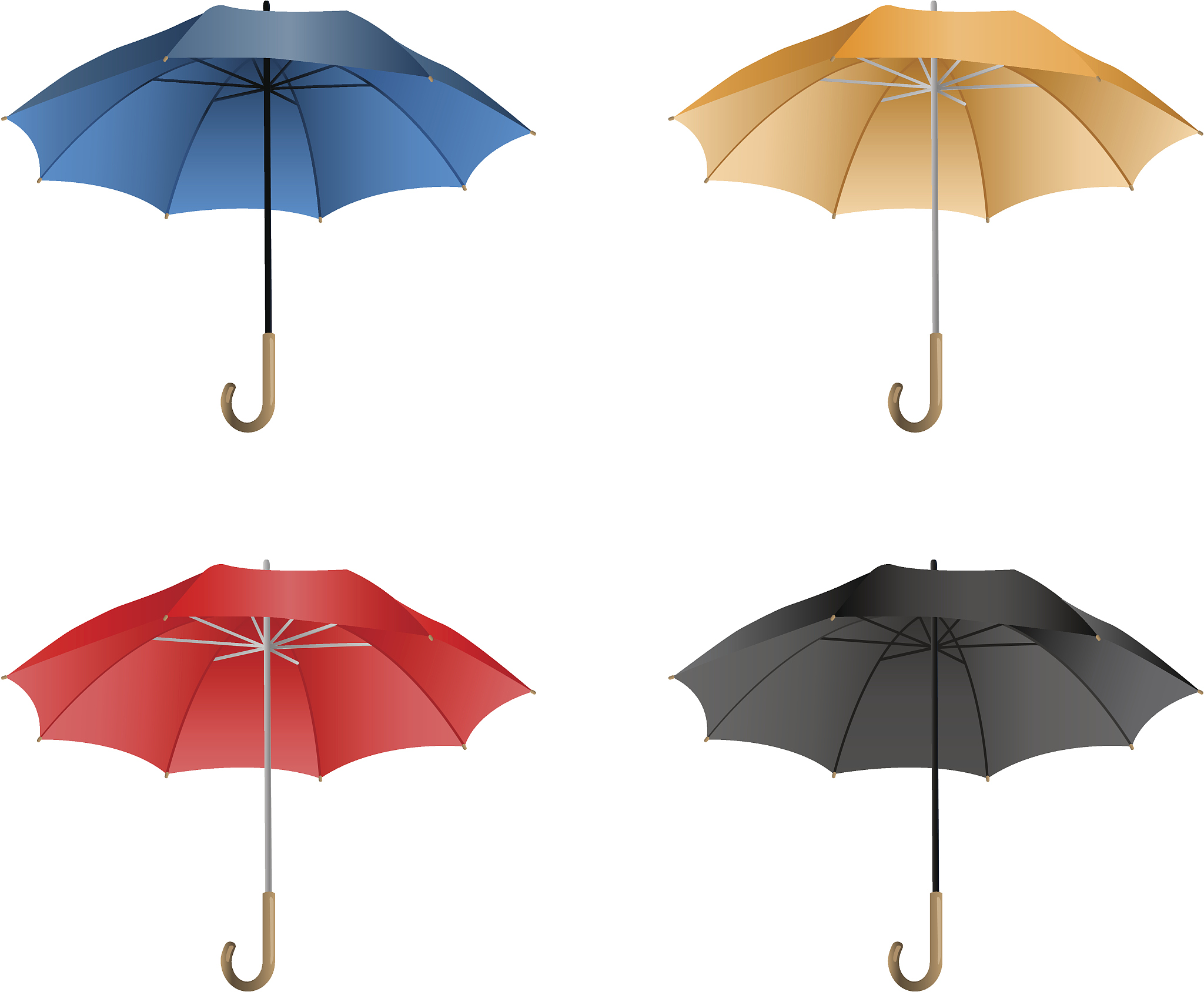 umbrella illustration