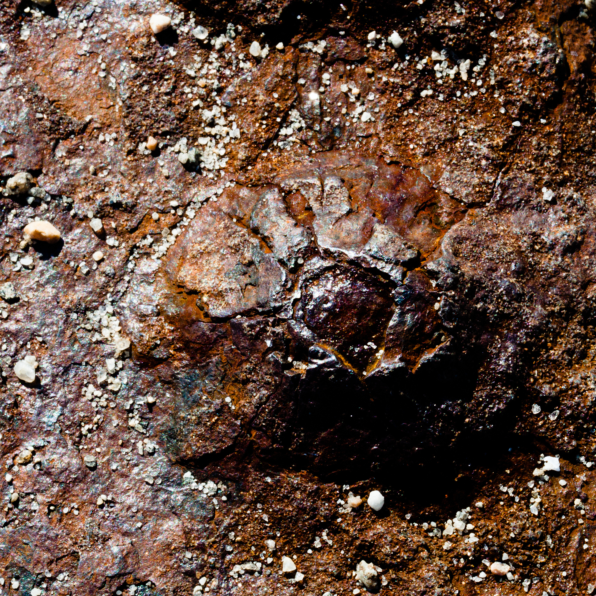 对以下内容进行大幅度中文改写要求语言通顺逻辑清晰。在不同的氧化环境和不同的暴露时间下黄铜矿表面的氧化产物也有所不同。例如在空气环境中抛光的黄铜矿表面将在短时间内形成Fe3O4FeOOH和富铜硫化物Cu5FeS4Cu2S。随着暴露时间的增加在4 min内黄铜矿的断裂面将产生大量羟基铁铁浓度升高而铜和硫的浓度降低硫的价态不会发生明显变化16。当黄铜矿暴露超过10 d时断口上会生成SO42-和Cu2+可