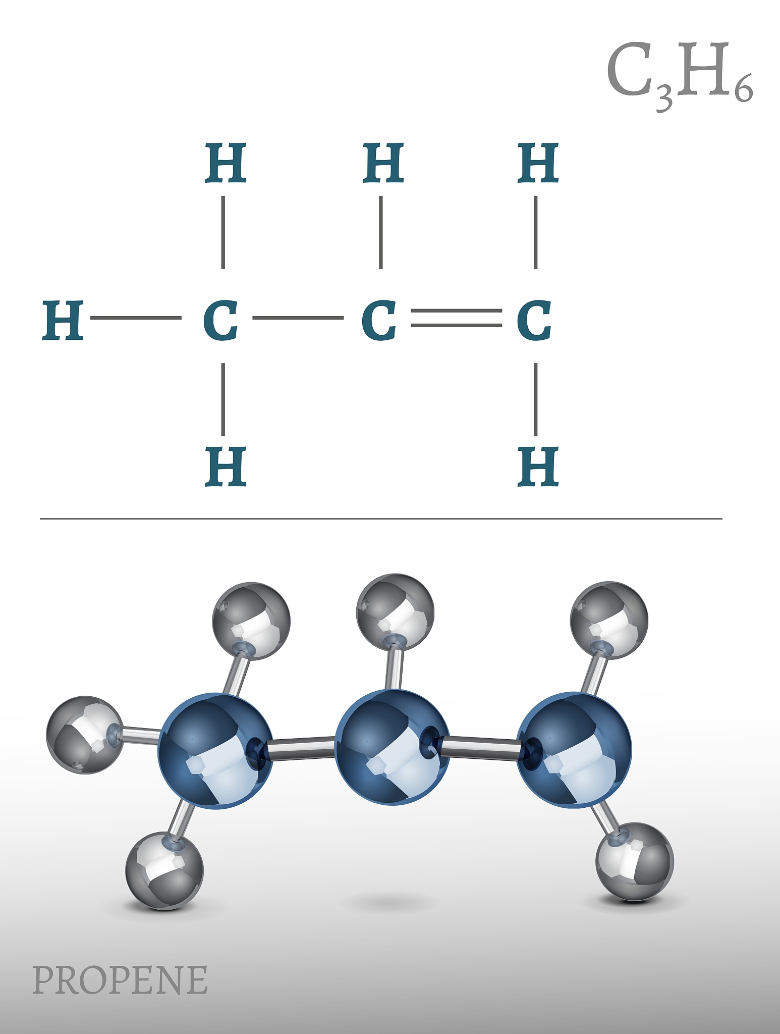 多酚物质、蛋白质、多糖和核酸：生命活动的关键组成部分