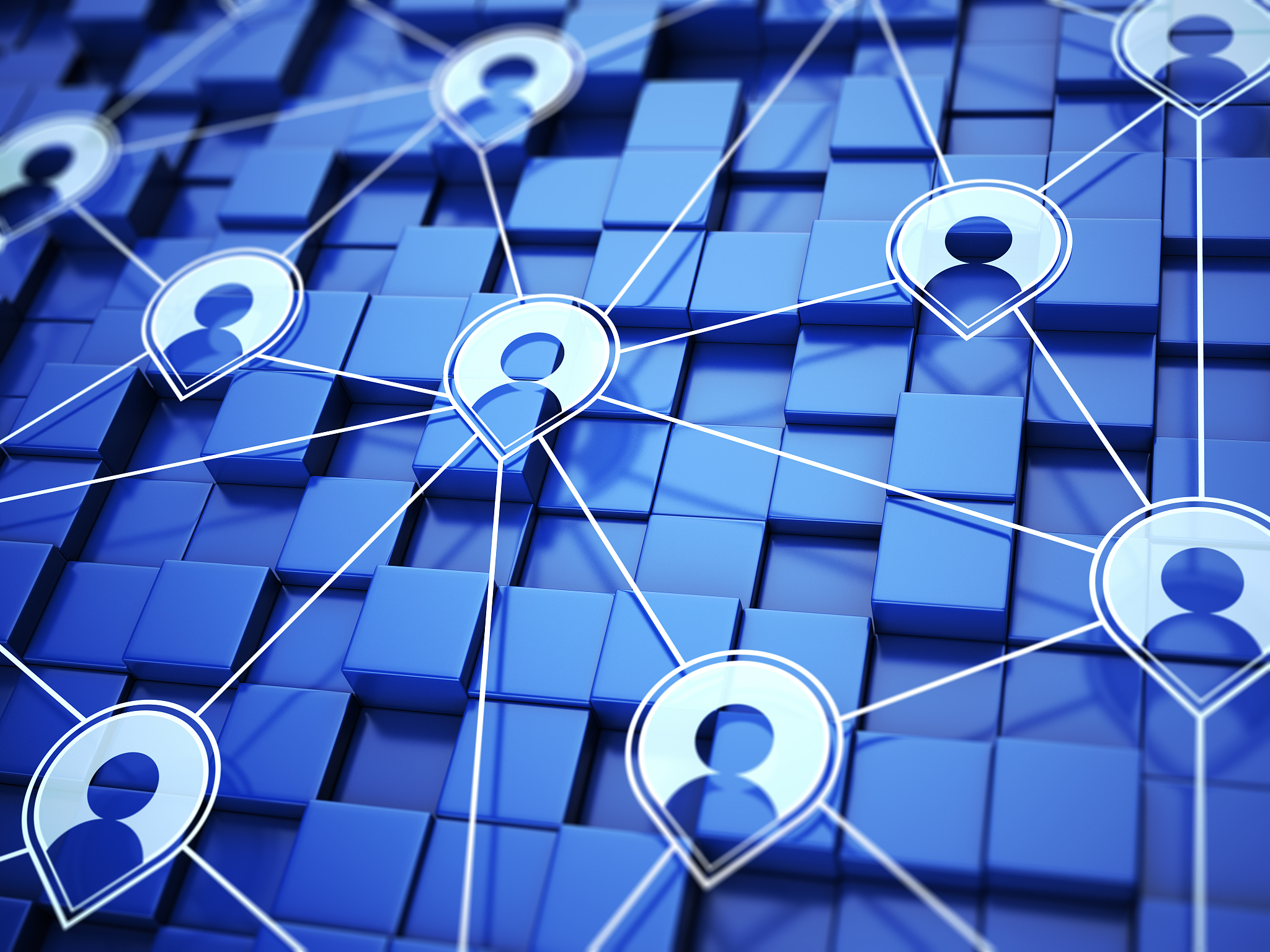 social network